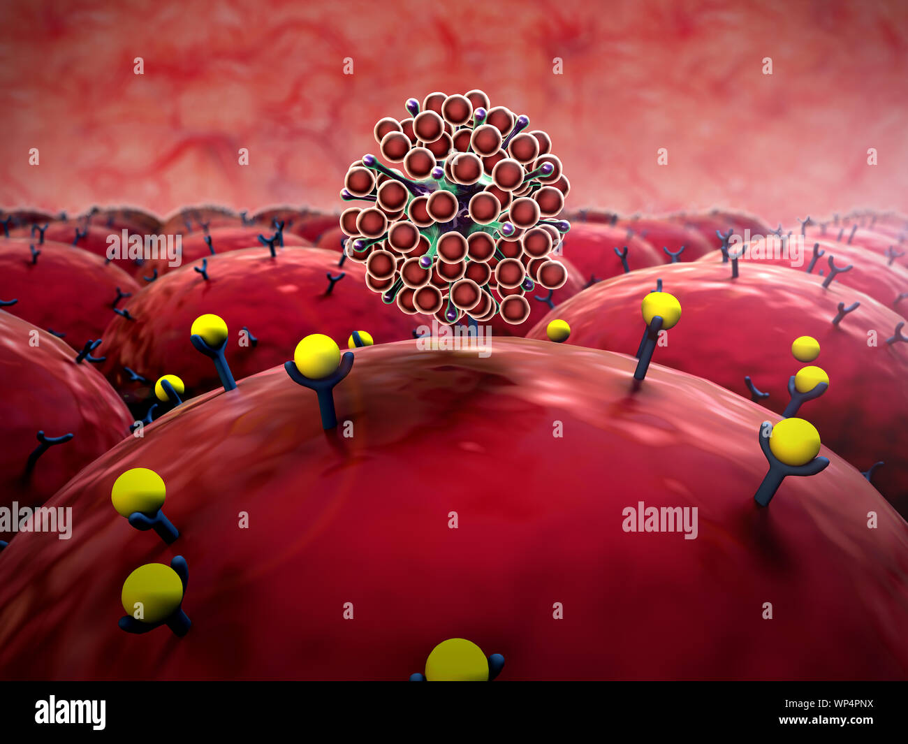 L'attacco di virus Foto Stock