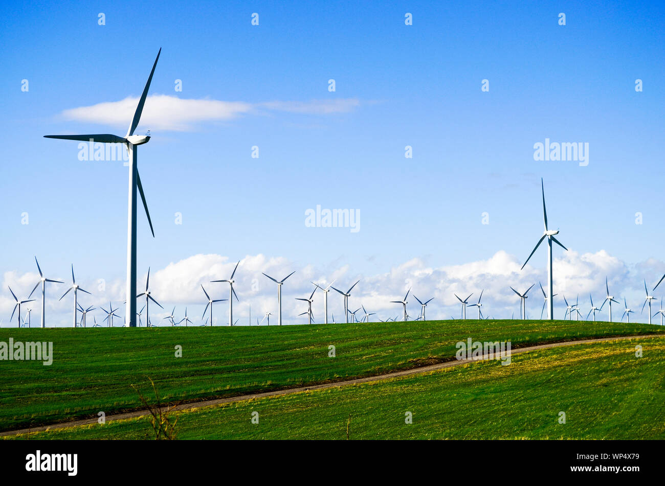 Rio Vista California USA; più turbine eoliche compilare una collina verde con un cielo blu e bianca nuvola sullo sfondo. Foto Stock