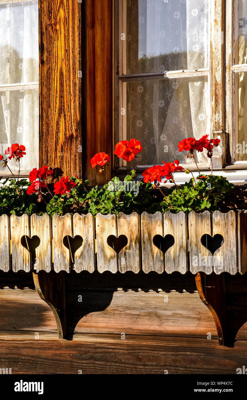 Tradizionale in rosso gerani in windows di Alpine tipiche capanne di legno. Austrian chalets in legno. Decorazioni floreali. Tradizione, stile. La Baviera, Austria e Svizzera. Alpi svizzere. Foto Stock