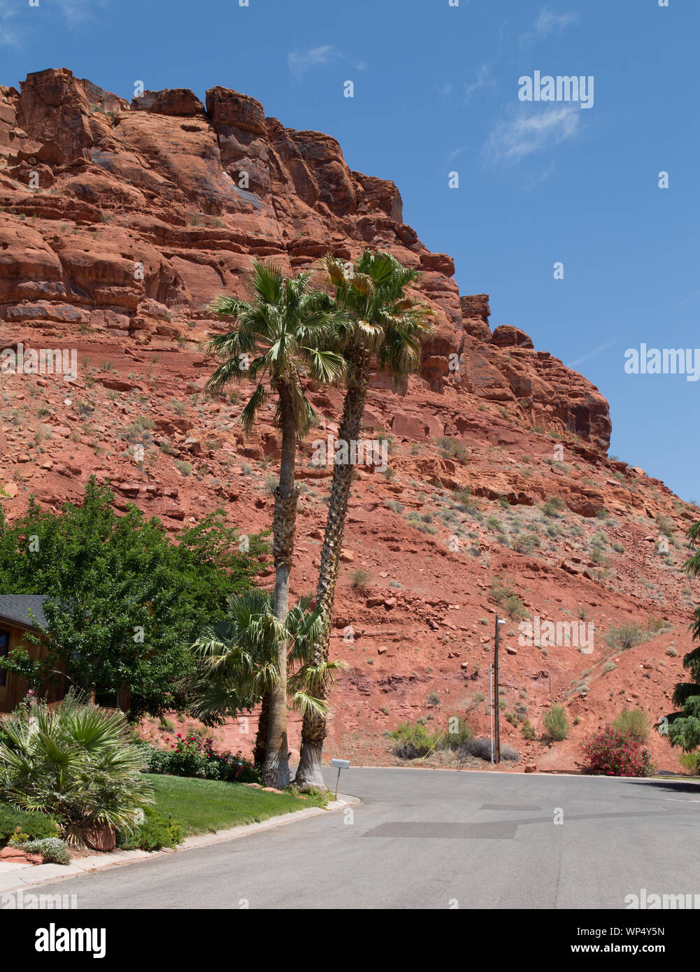 Joshua Tree National Park, California del sud-est Joshua Tree National Park, California del sud-est Foto Stock
