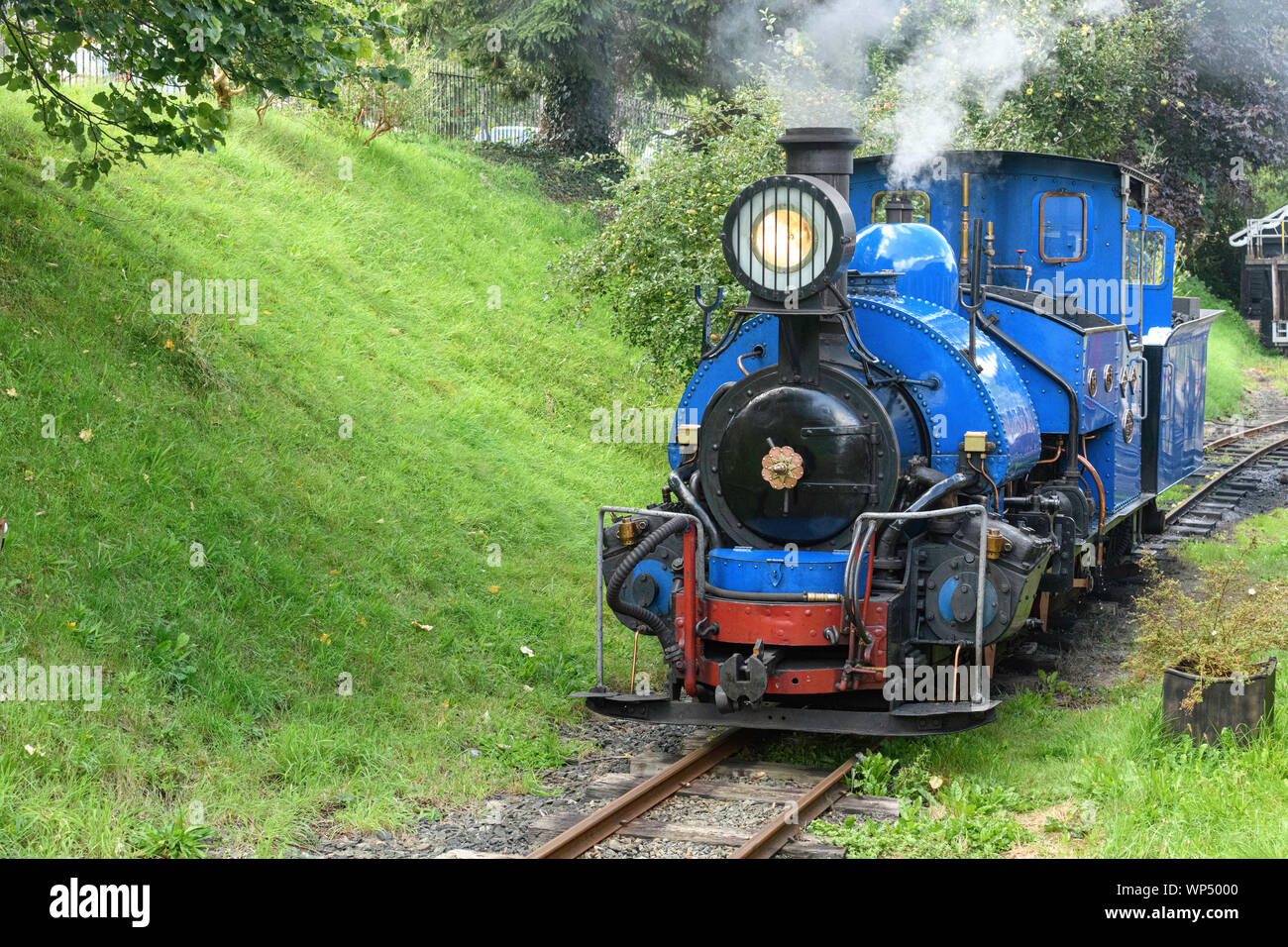 Locomotiva a vapore n. 19 (originariamente dal Darjeeling Himalayan Railway in India ) a Launceston Steam Railway Launceston Cornwall Regno Unito Foto Stock