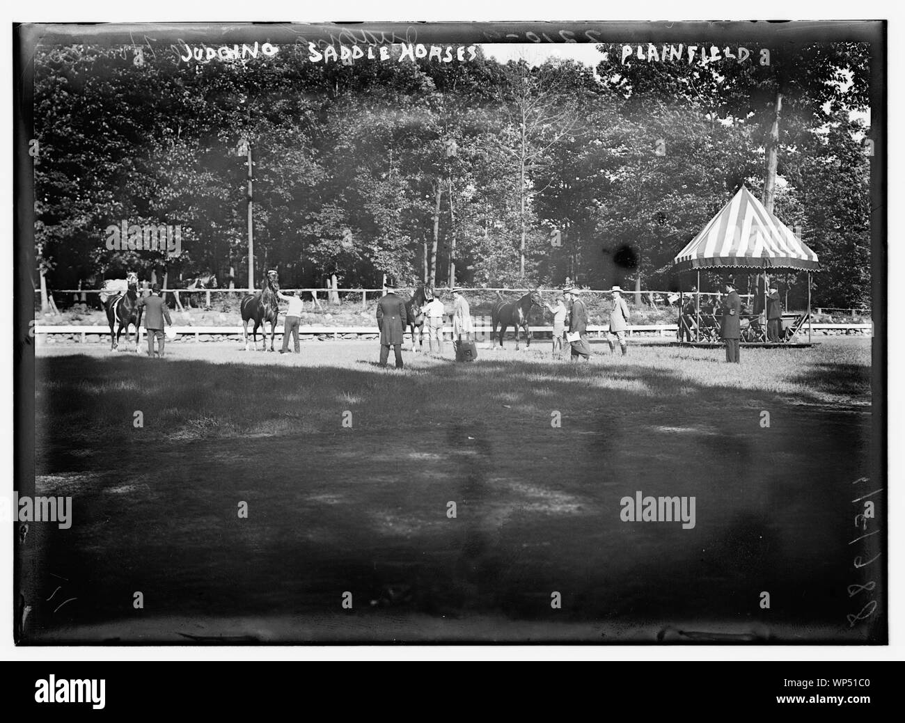 A giudicare cavalli da sella, Plainfield Foto Stock
