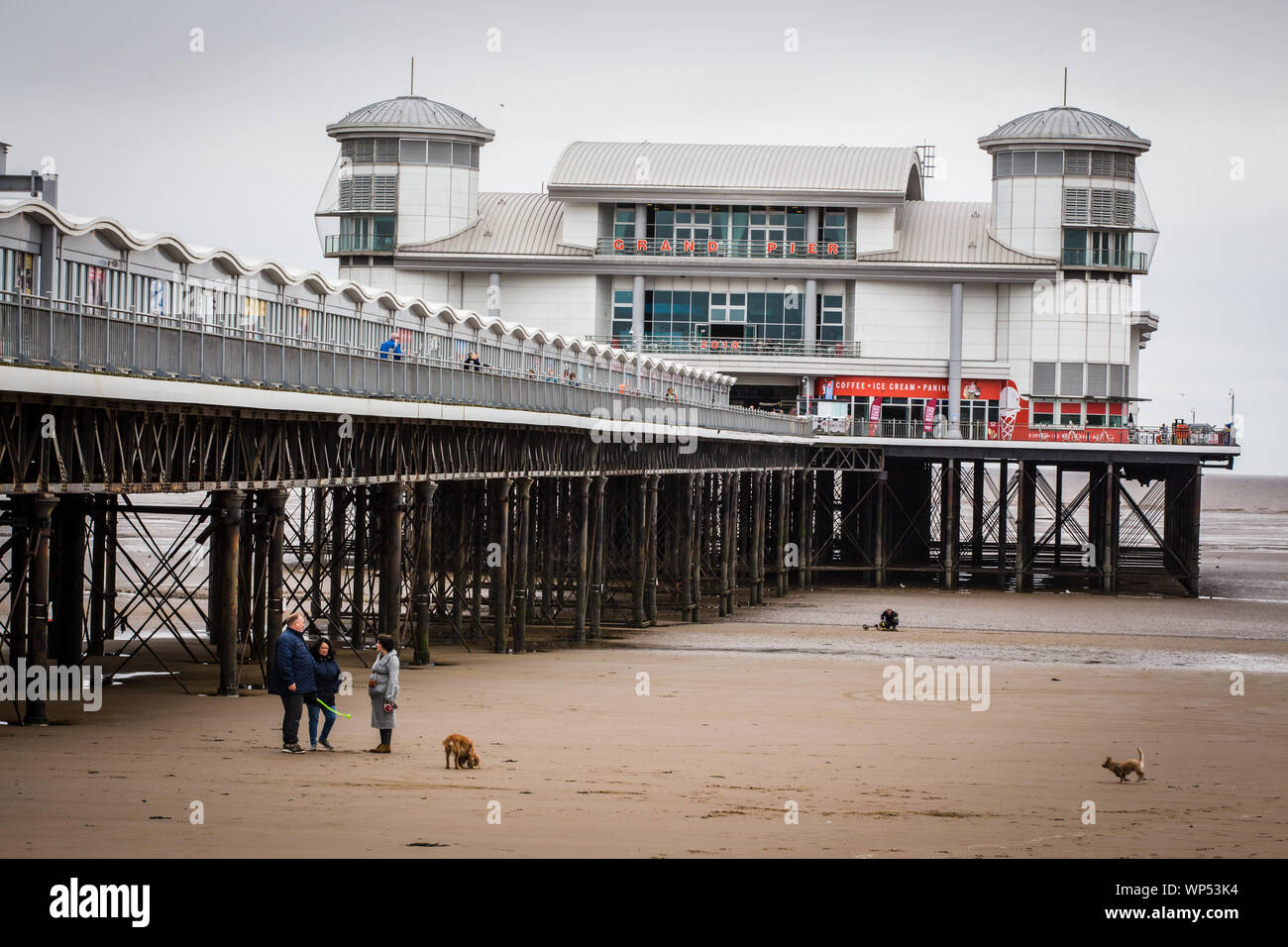 Dog walkers parlando dal Grand molo Weston-Super-Mare Foto Stock