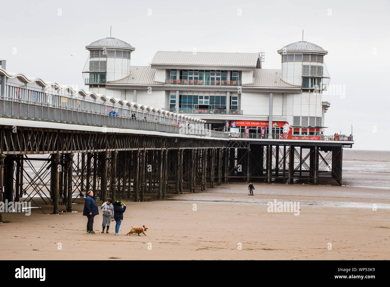 Dog walkers parlando dal Grand molo Weston-Super-Mare Foto Stock