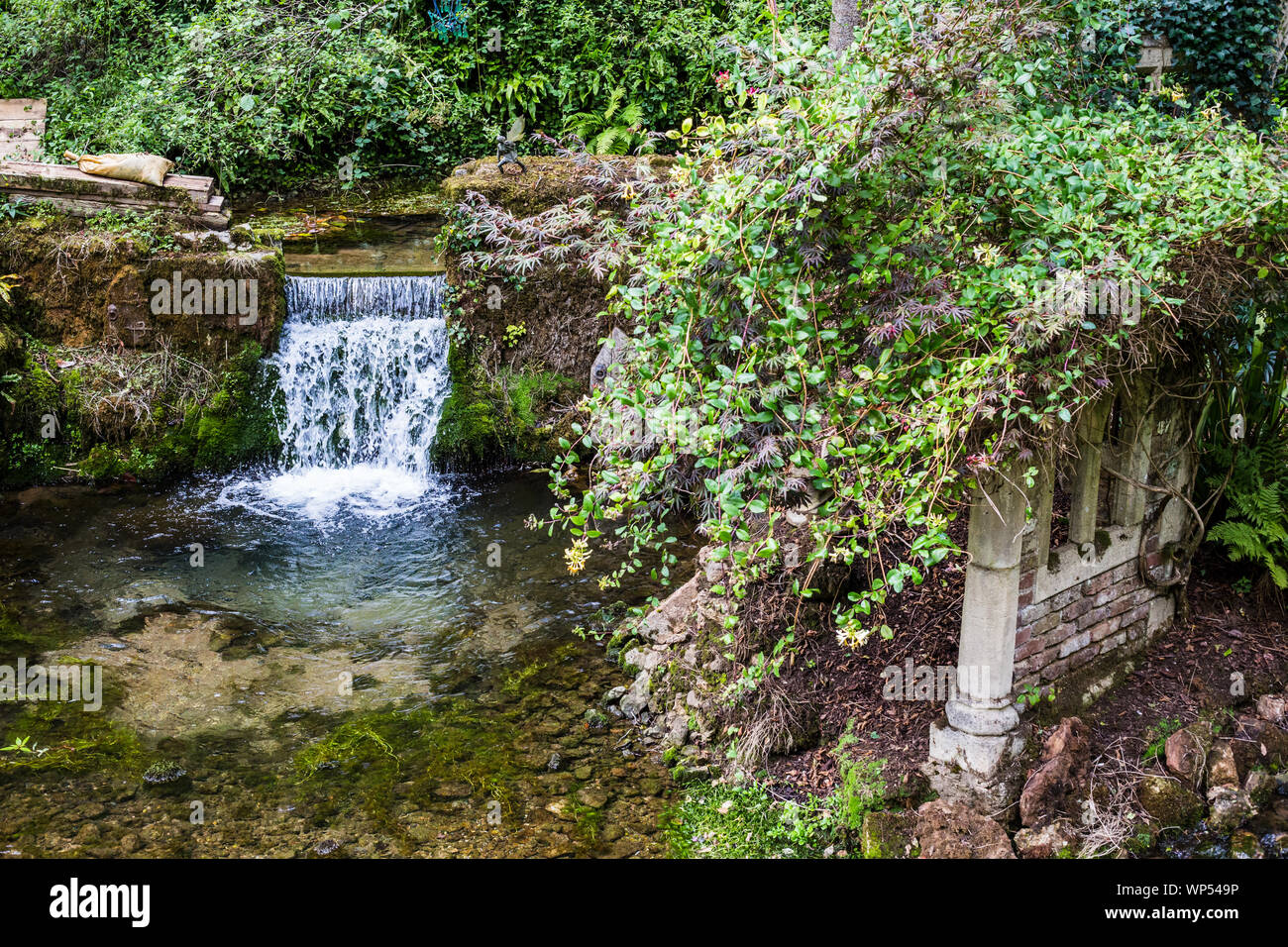 Ornato mistico giardino fiabesco con una cascata. Foto Stock