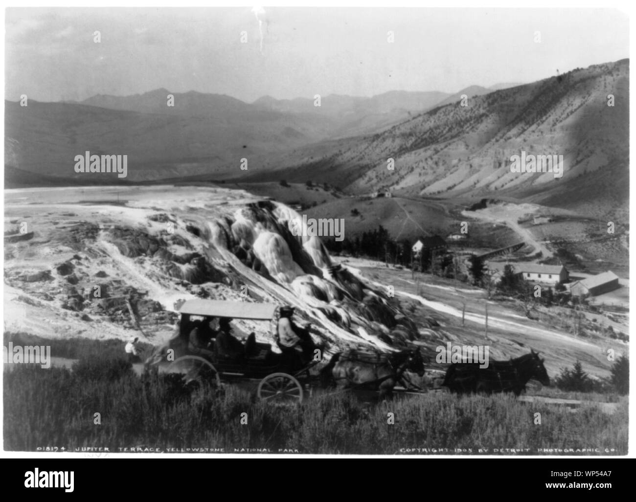 Giove terrazza, il Parco Nazionale di Yellowstone Foto Stock