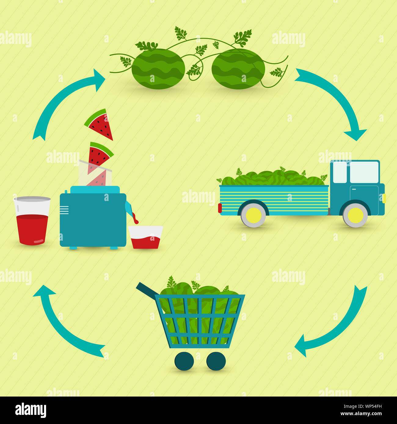 Succo di anguria di fasi di produzione. Anguria tree, il raccolto, il trasporto, la vendita presso il negozio di alimentari, produzione di succo di anguria a casa. In un circul Illustrazione Vettoriale