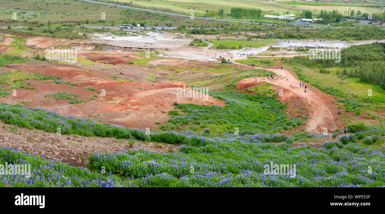 Geysir geotermica primavera calda area, Sudhurland, Islanda Foto Stock