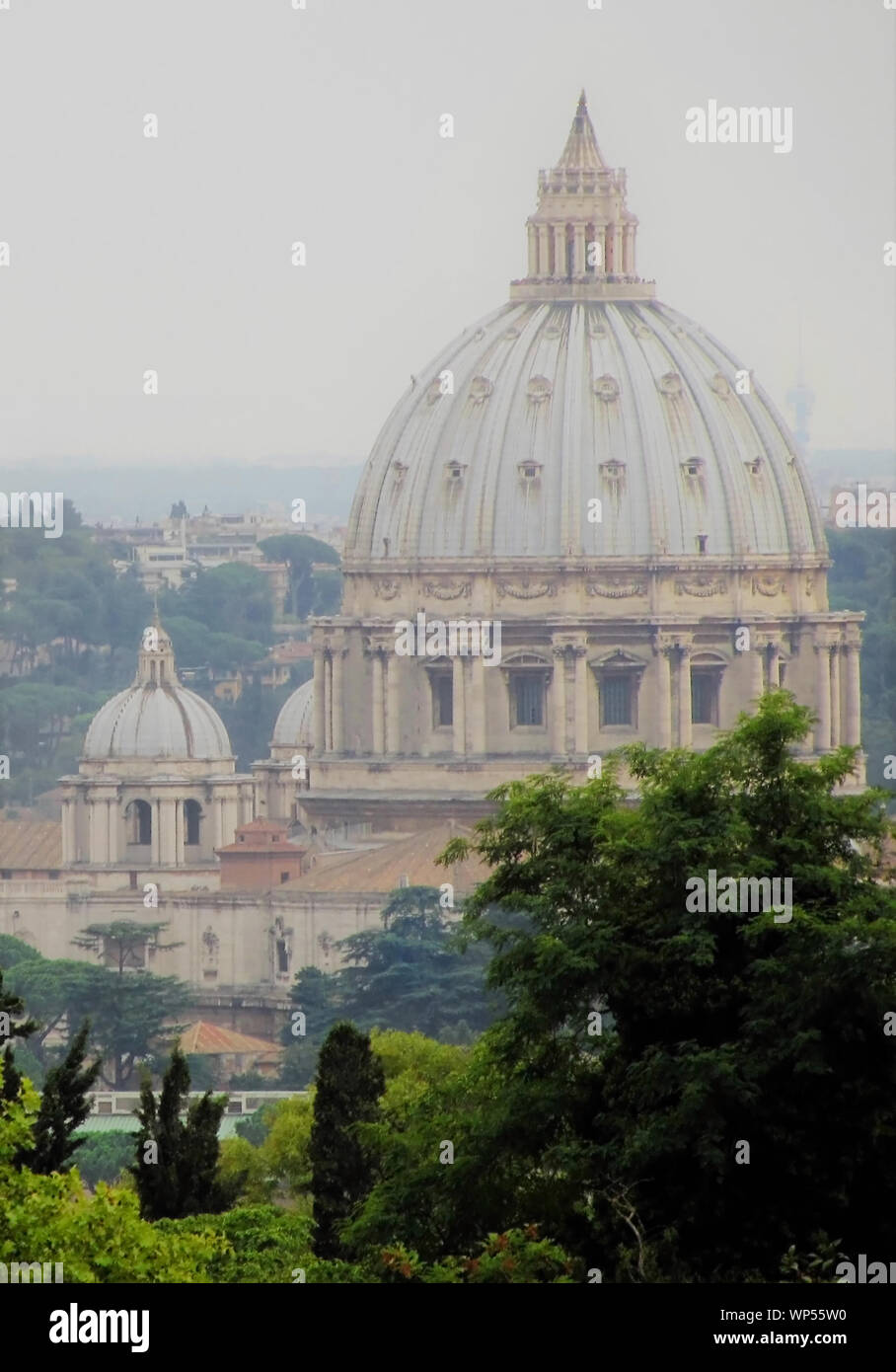 Una vista in lontananza la cupola della Basilica di San Pietro in Roma - adatto per la copertina di un libro. Foto Stock