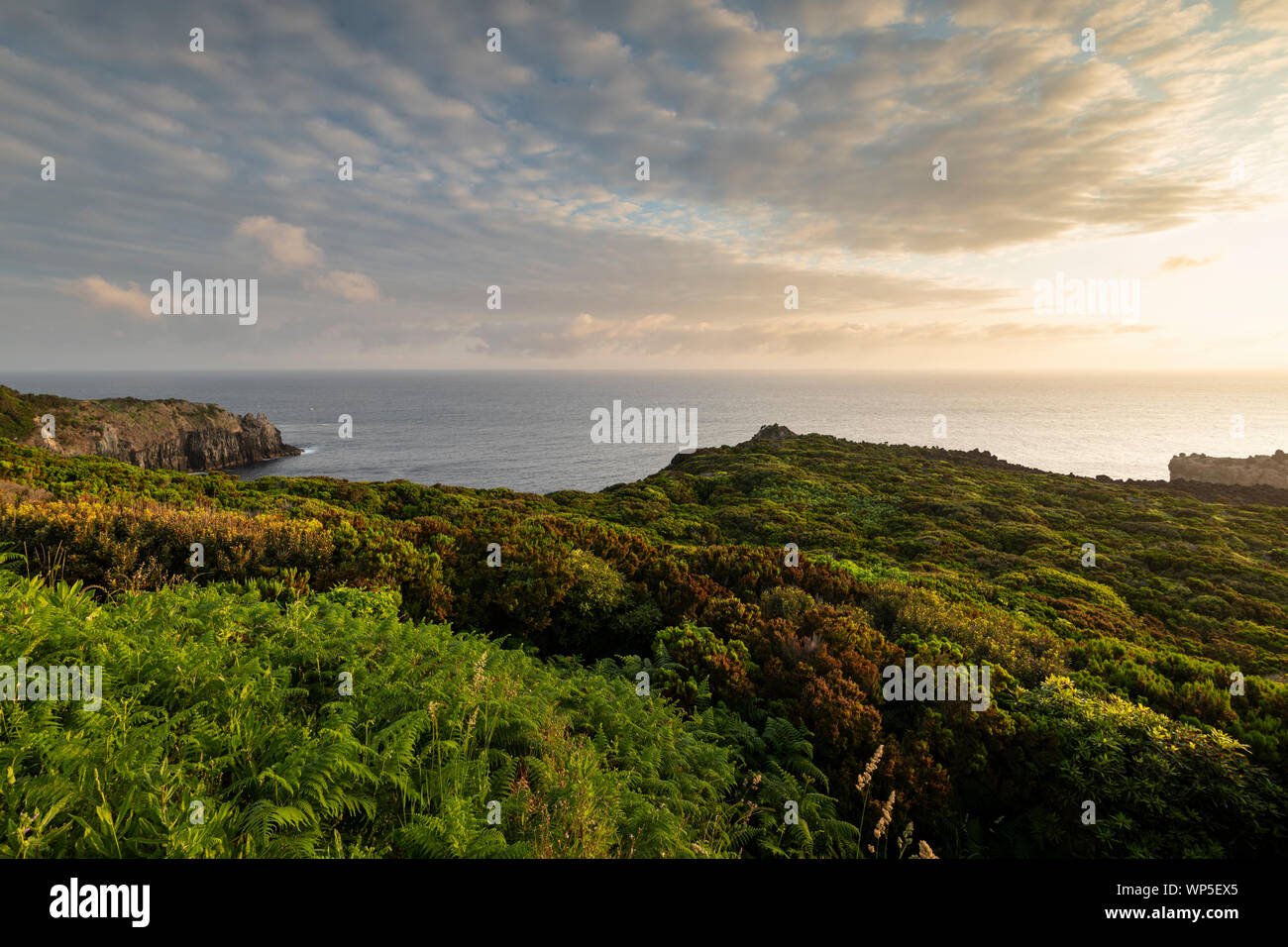 Incredibile paesaggio verde di sunrise al Mirador de Alagoa del litorale Agualva su Terceira, Azzorre, Portogallo Foto Stock