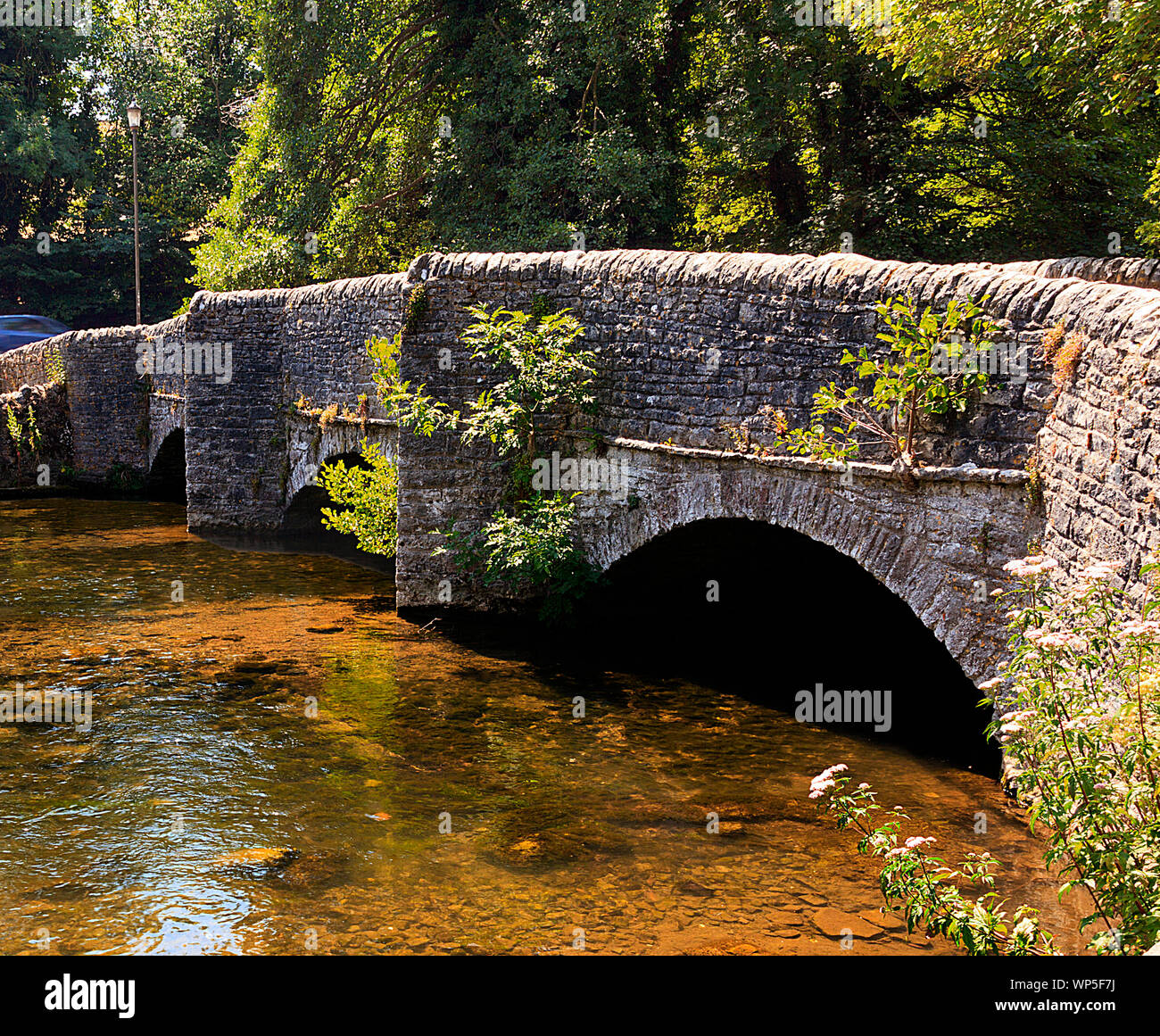 Sheepwash medievale Ponte sopra il fiume Wye a Ashford in acqua DERBYSHIRE REGNO UNITO Foto Stock