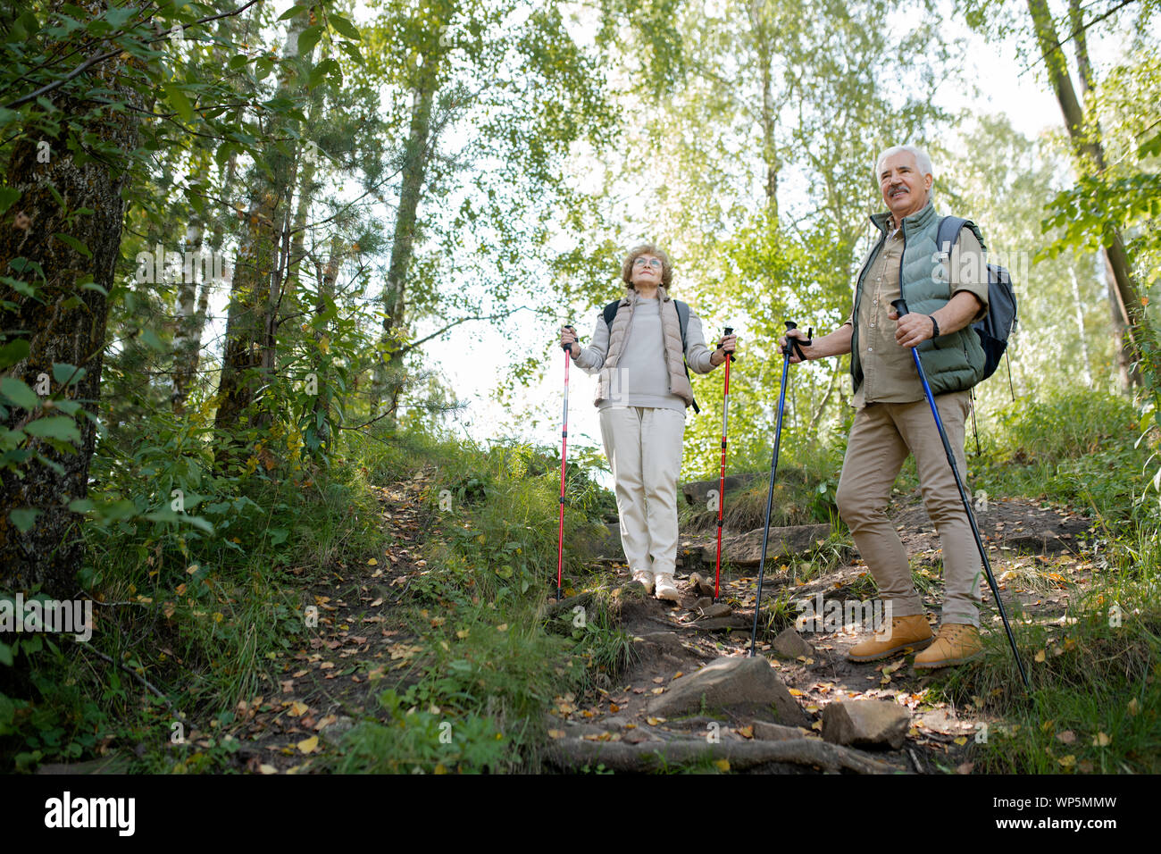 Felice active seniors godendo di viaggio trekking nella foresta Foto Stock