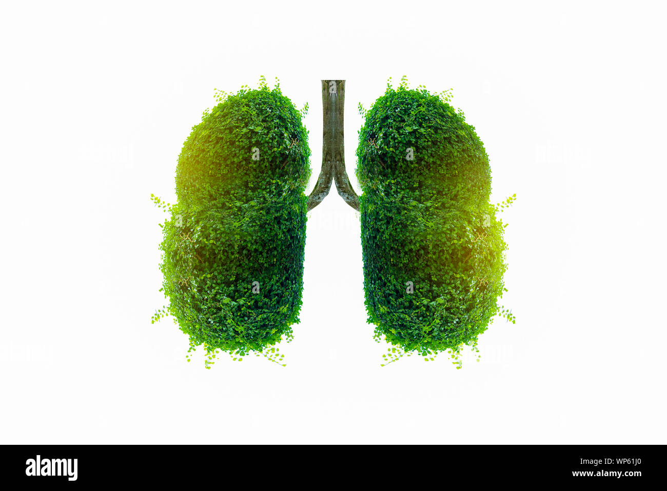 Polmone verde a forma di albero di immagini, concetti medici, autopsia, visualizzazione 3D e animali come un elemento Foto Stock