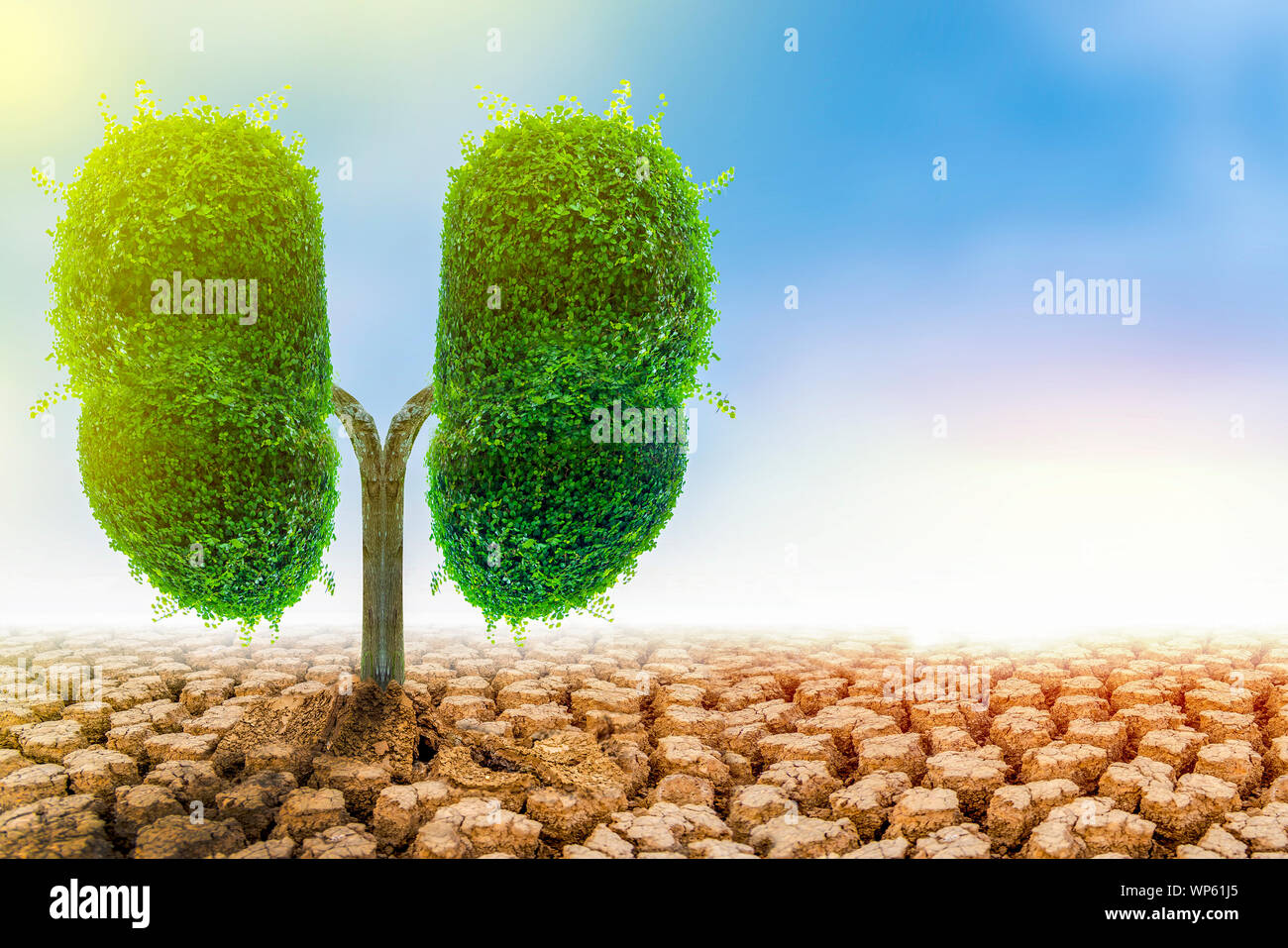 Polmone verde a forma di albero di immagini, concetti medici, autopsia, visualizzazione 3D e animali come un elemento Foto Stock