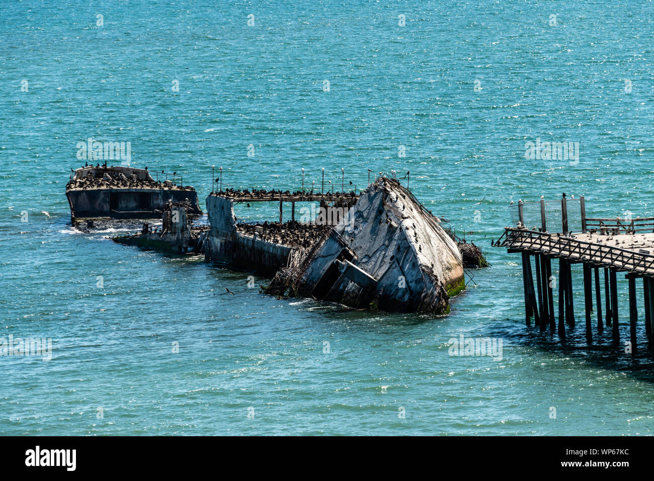 Stato Seacliff Beach, CA, SS Palo Alto Foto Stock