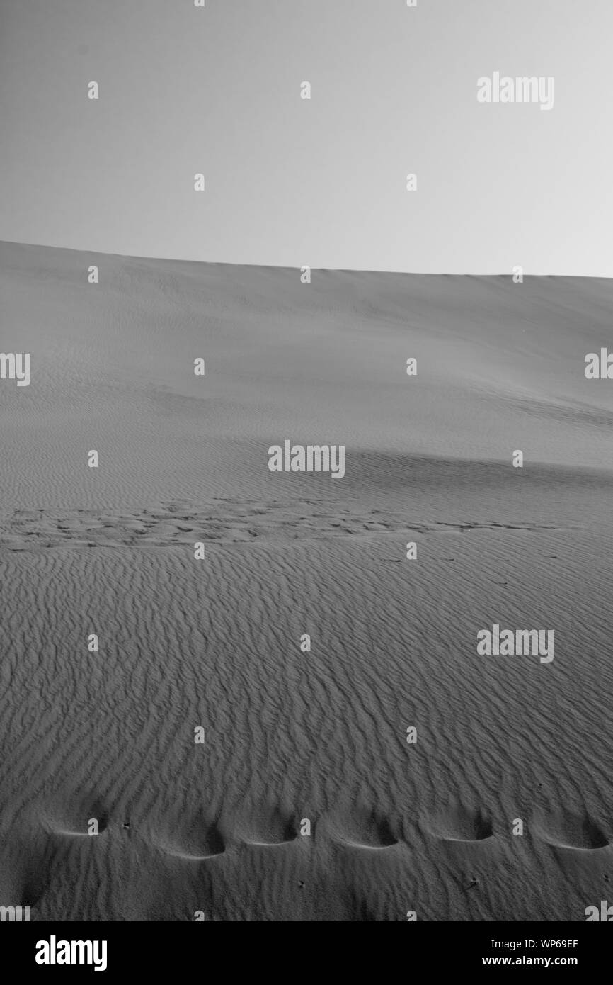 Orme nella sabbia al canto dune di sabbia Geopark, Dunhuang, Cina Foto Stock