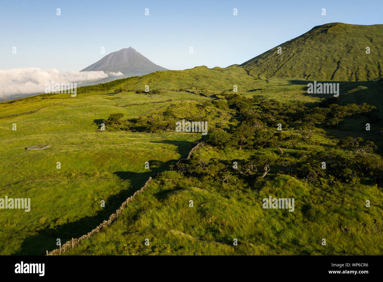 Immagine aerea di tipico caldeira vulcanica paesaggio con coni di Vulcano di Planalto da Achada altopiano centrale di Ilha do Pico Isola, Portogallo Foto Stock