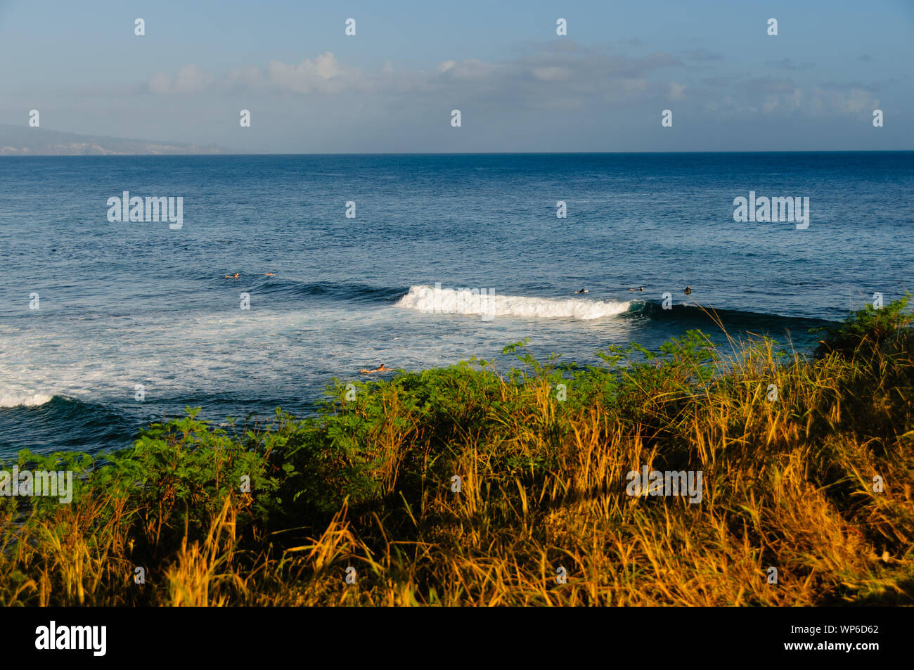 Navigare all alba Hookipa membro Park Beach, Maui, Hawaii, STATI UNITI D'AMERICA Foto Stock