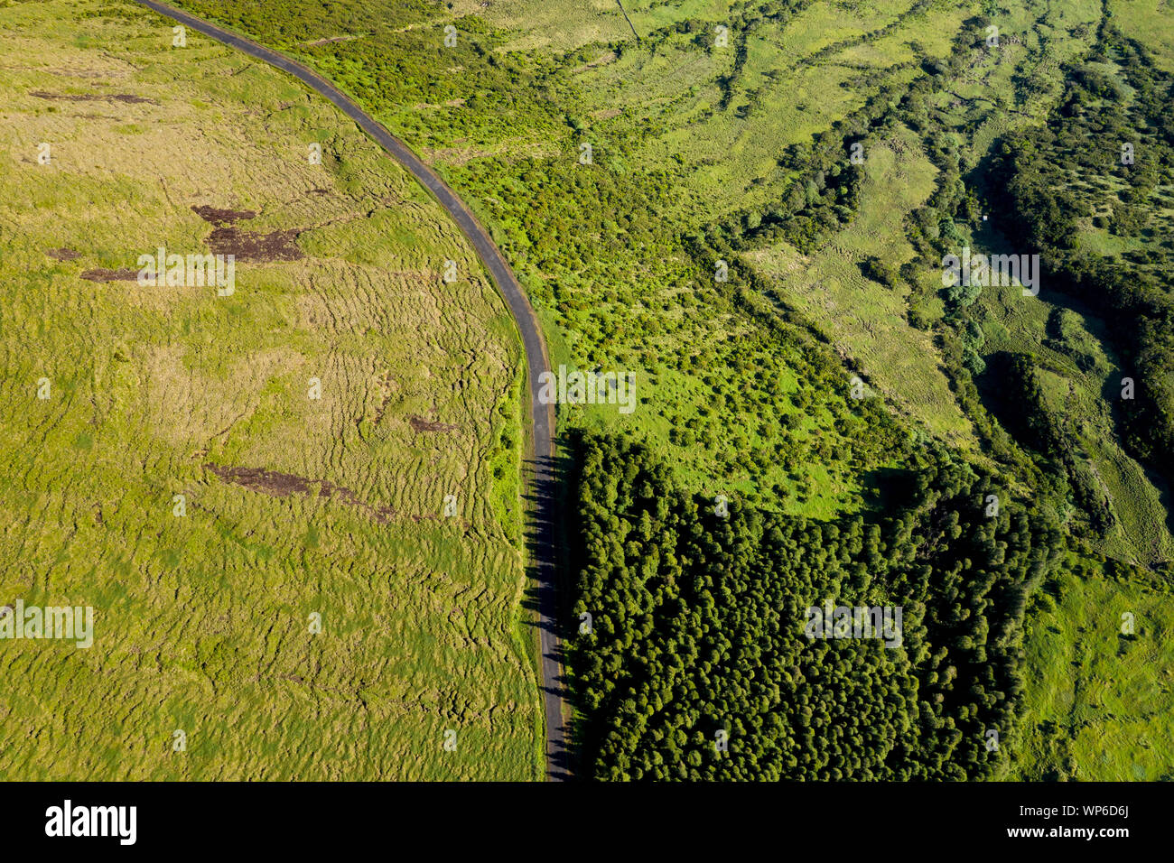 Immagine aerea del tipico paesaggio di campagna di Planalto da Achada altopiano centrale di Ilha do Pico Isola, Azzorre, Portogallo Foto Stock