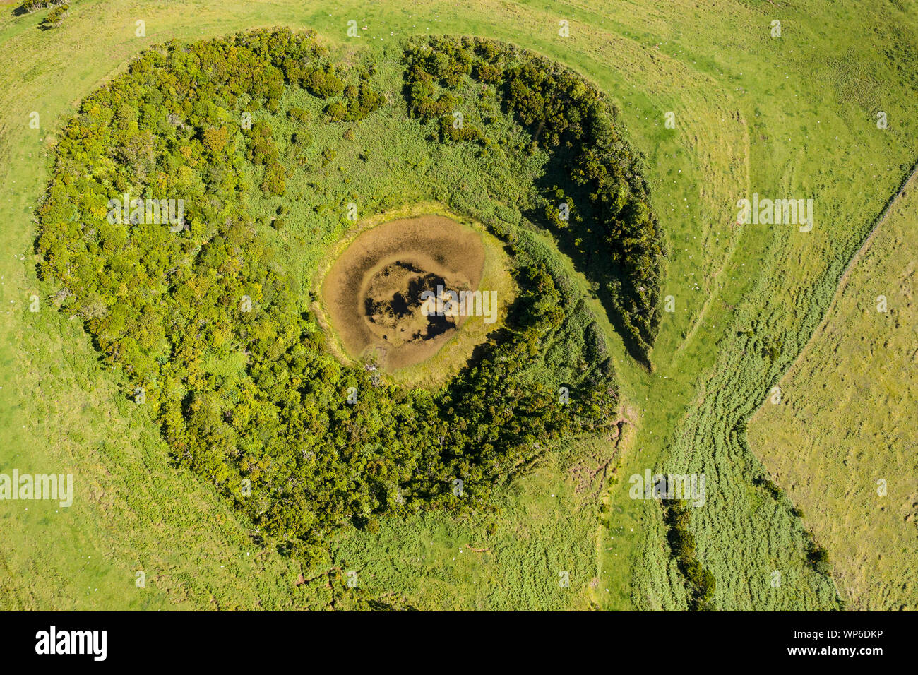 Antenna vista superiore cercando in una caldera vulcanica Crater Lake al Planalto da Achada altopiano centrale di Ilha do Pico Isola, Azzorre, Portogallo Foto Stock