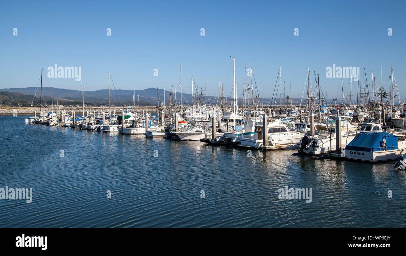 Punto di Pilar Harbour, Half Moon Bay, California Foto Stock