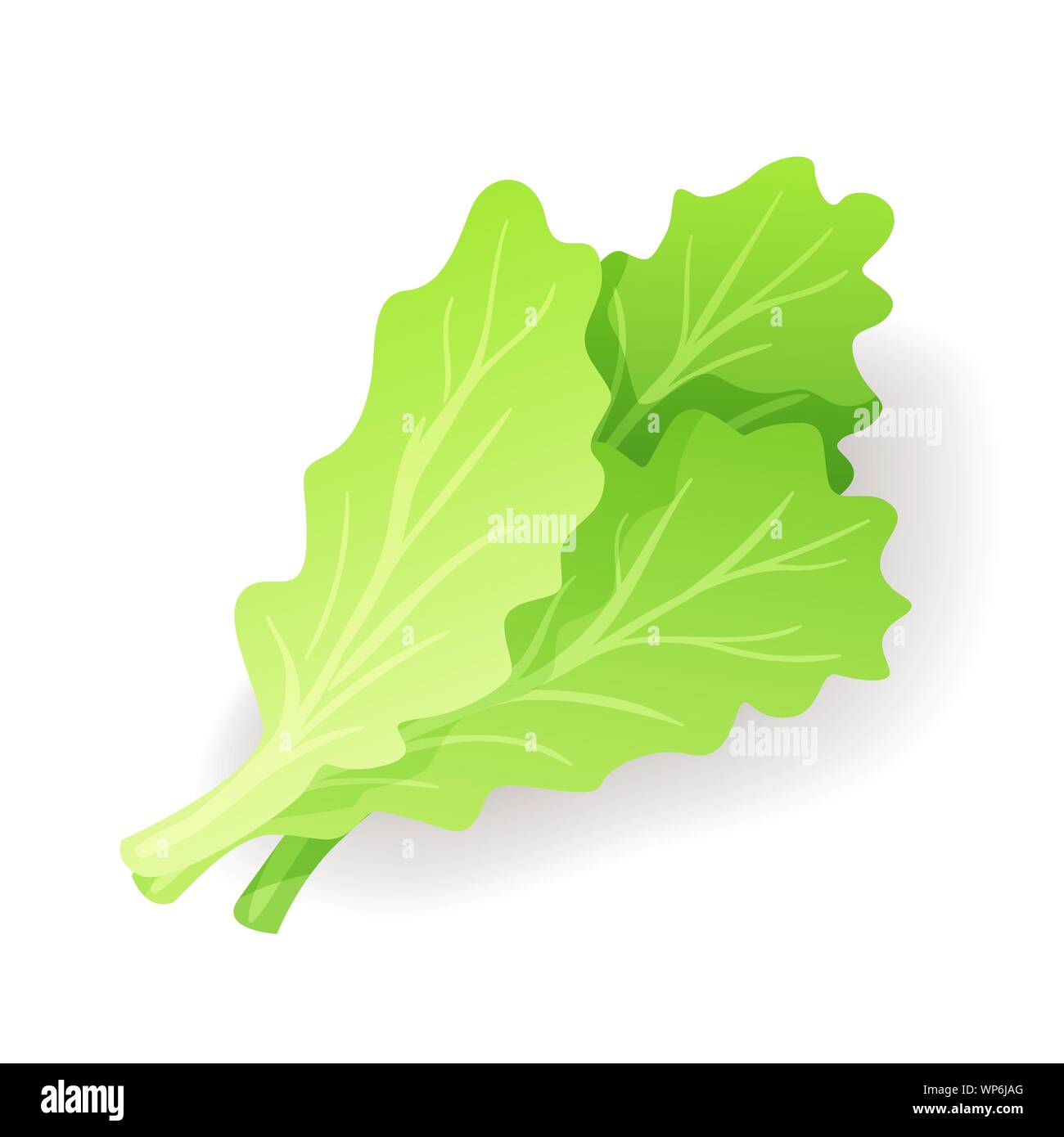 Fresca insalata verde foglia isolato icona, organico cibo sano, vegetale, illustrazione vettoriale. Illustrazione Vettoriale