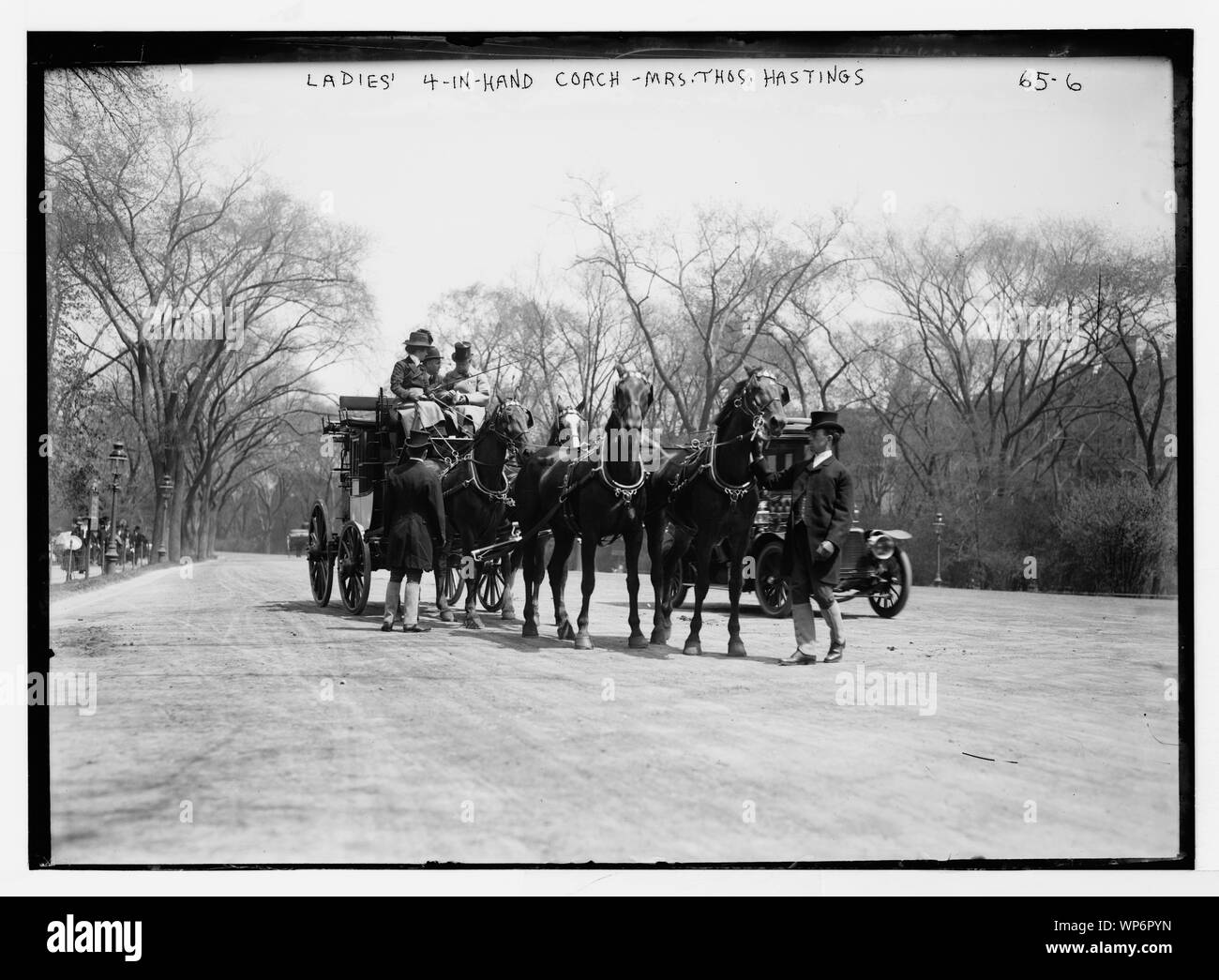 Onorevoli 4 in mano (4 cavalli) autobus azionati dalla sig.ra Thos. Hastings, New York Foto Stock