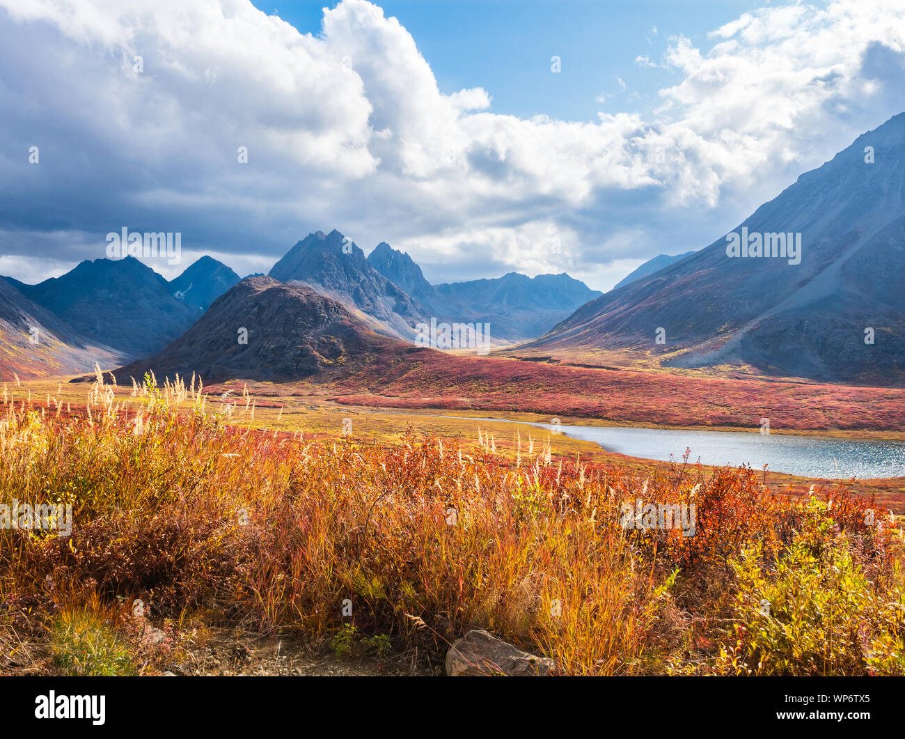 Autostrada Denali Alaskan deserto in autunno Foto Stock