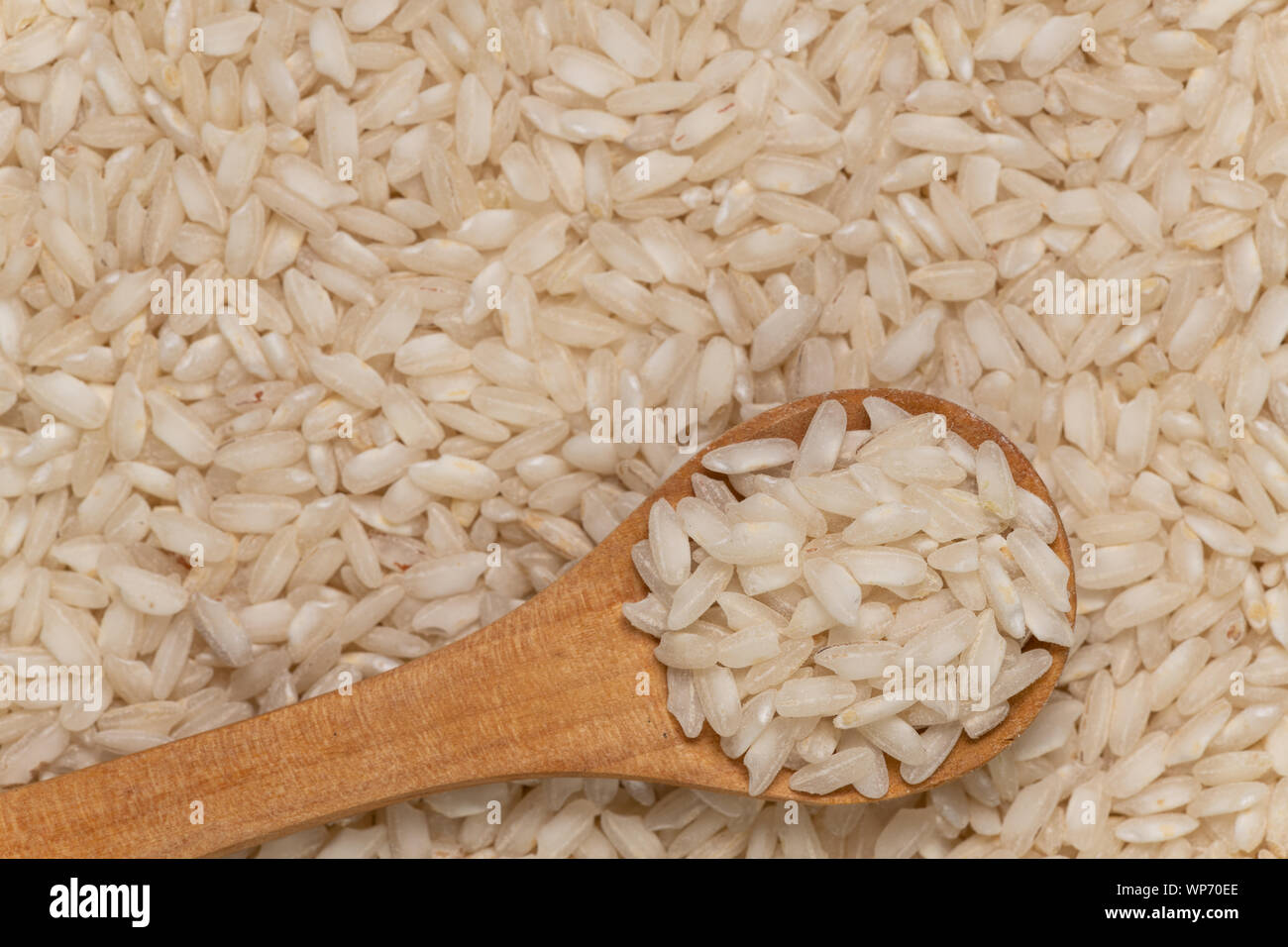 La consistenza delle materie grani corti di bianco crudo italica o riso arborio. Cucina italiana il concetto di cibo. Foto Stock