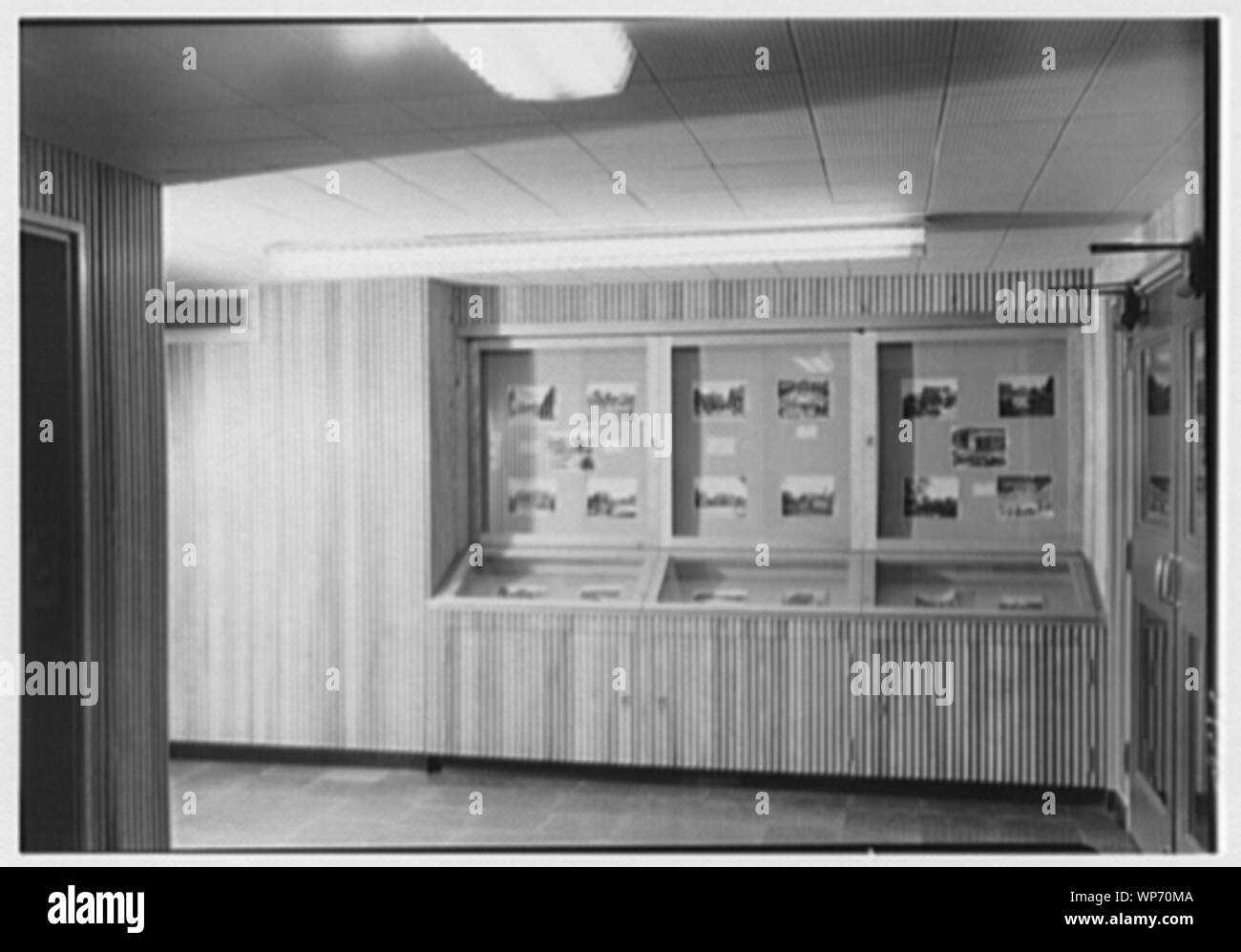 Lamont Library presso la Harvard University di Cambridge, Massachusetts. Foto Stock