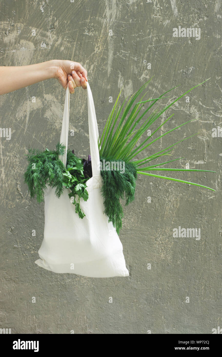 Mano con un sacchetto di eco su sfondo grigio. Rifiuti Zero concetto, plastica-free, eco-friendly shopping, vegan Foto Stock