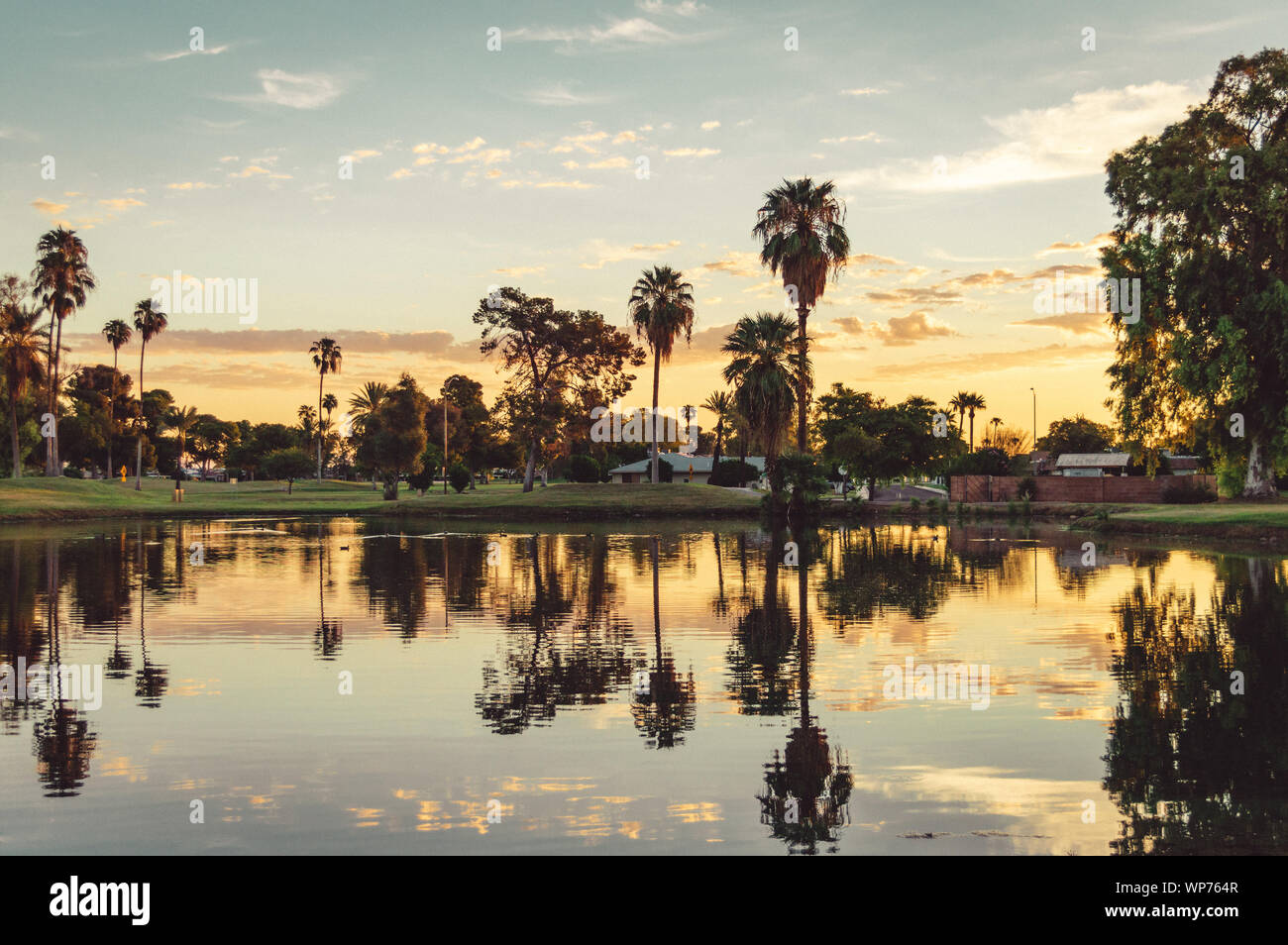 Fotografia analogica di un campo da golf lago durante il tramonto con palme riflessa nell'acqua. Sun City, Arizona. Foto Stock