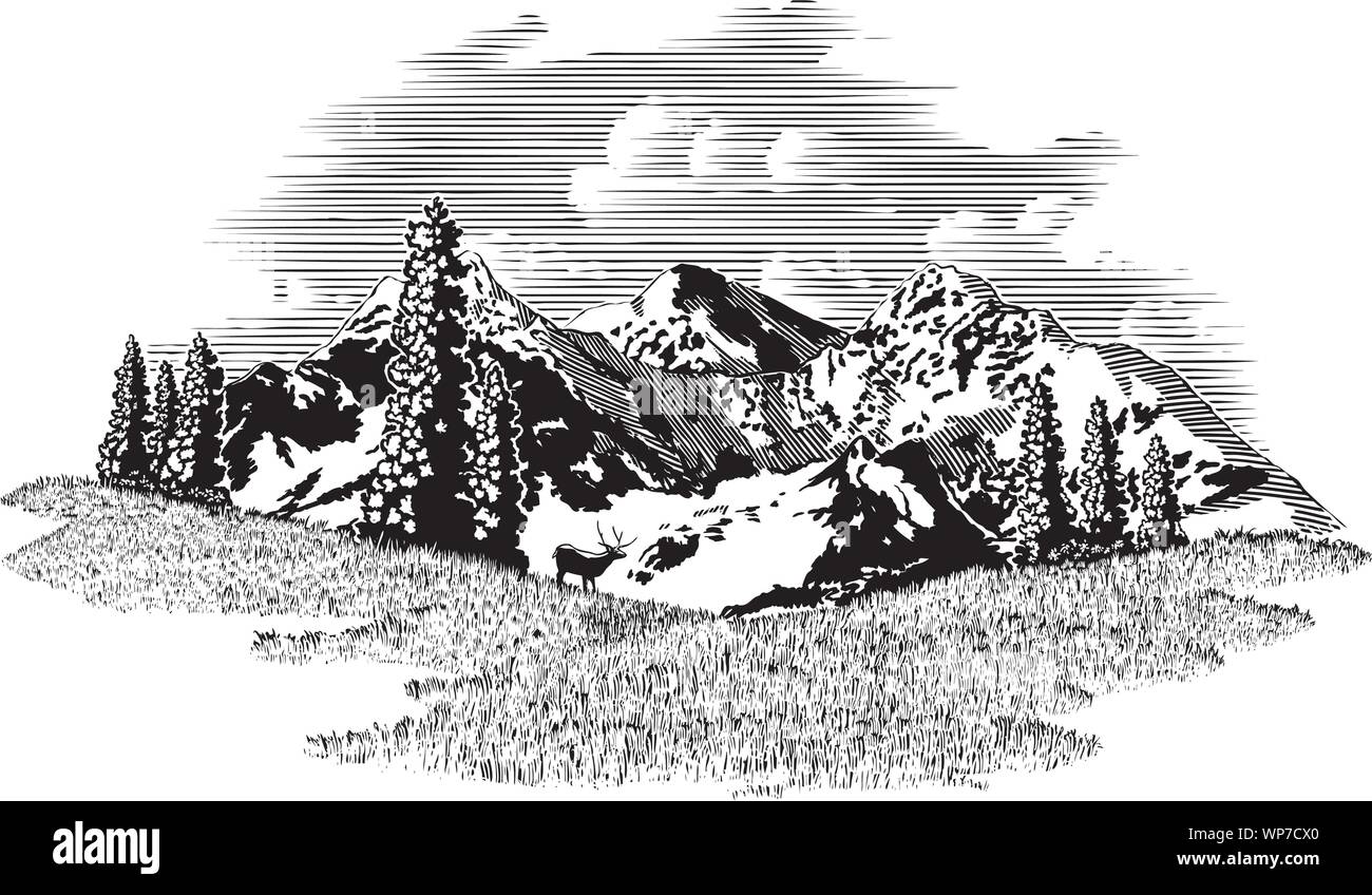 Xilografia illustrazione scena della montagna con un alce in background. Illustrazione Vettoriale
