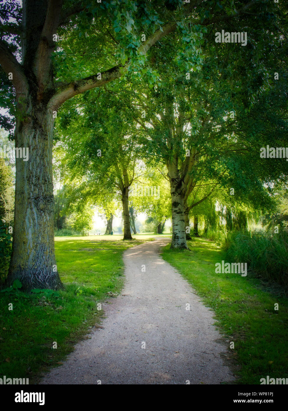 Percorso nel parco da favola. Foto Stock