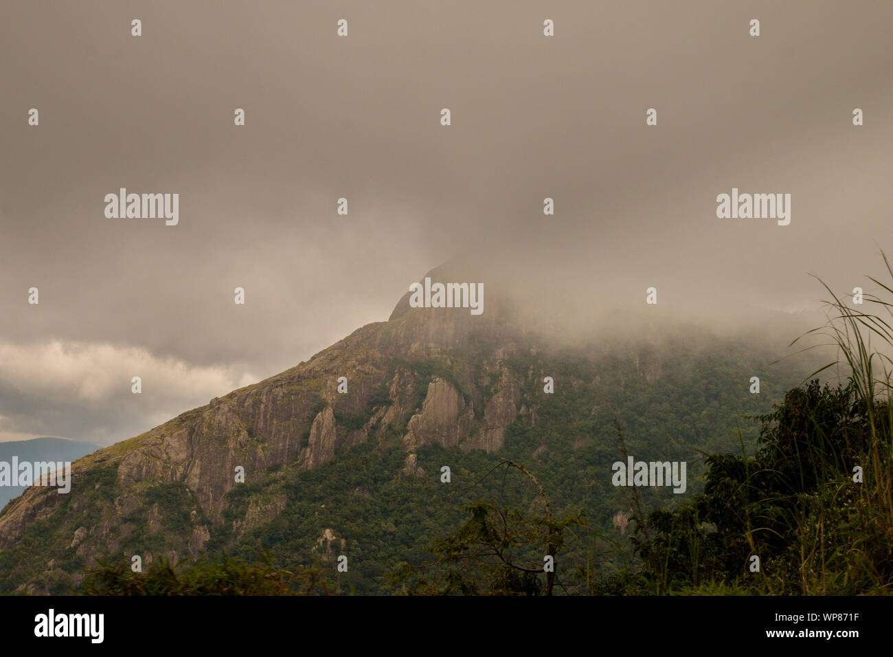 Montagne alte come le nuvole. La nebbia le gamme della montagna del Kerala e del Tamil Nadu Foto Stock