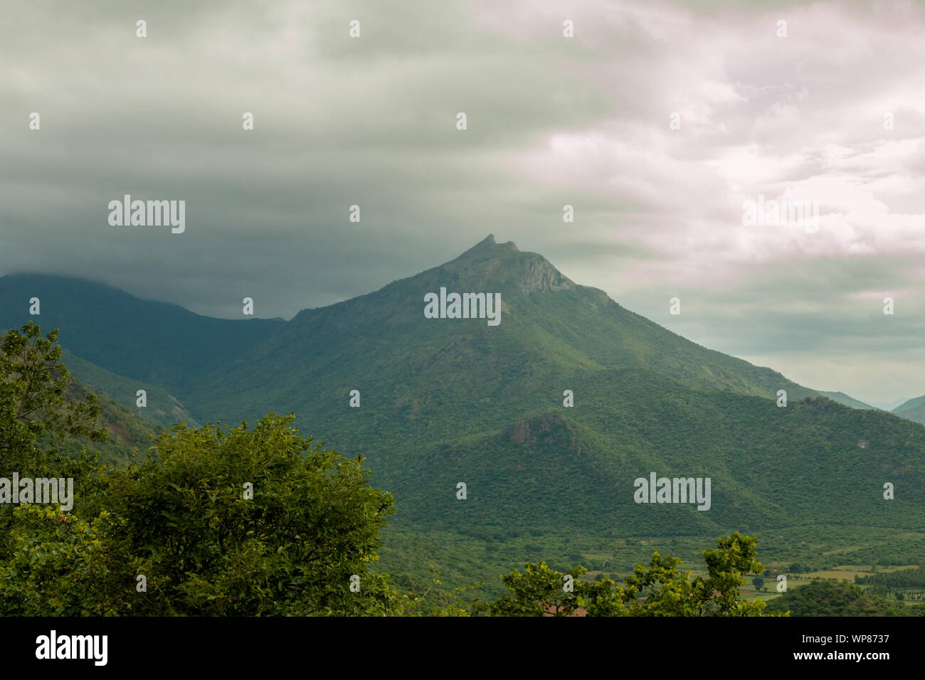 Montagne alte come le nuvole. La nebbia le gamme della montagna del Kerala e del Tamil Nadu Foto Stock