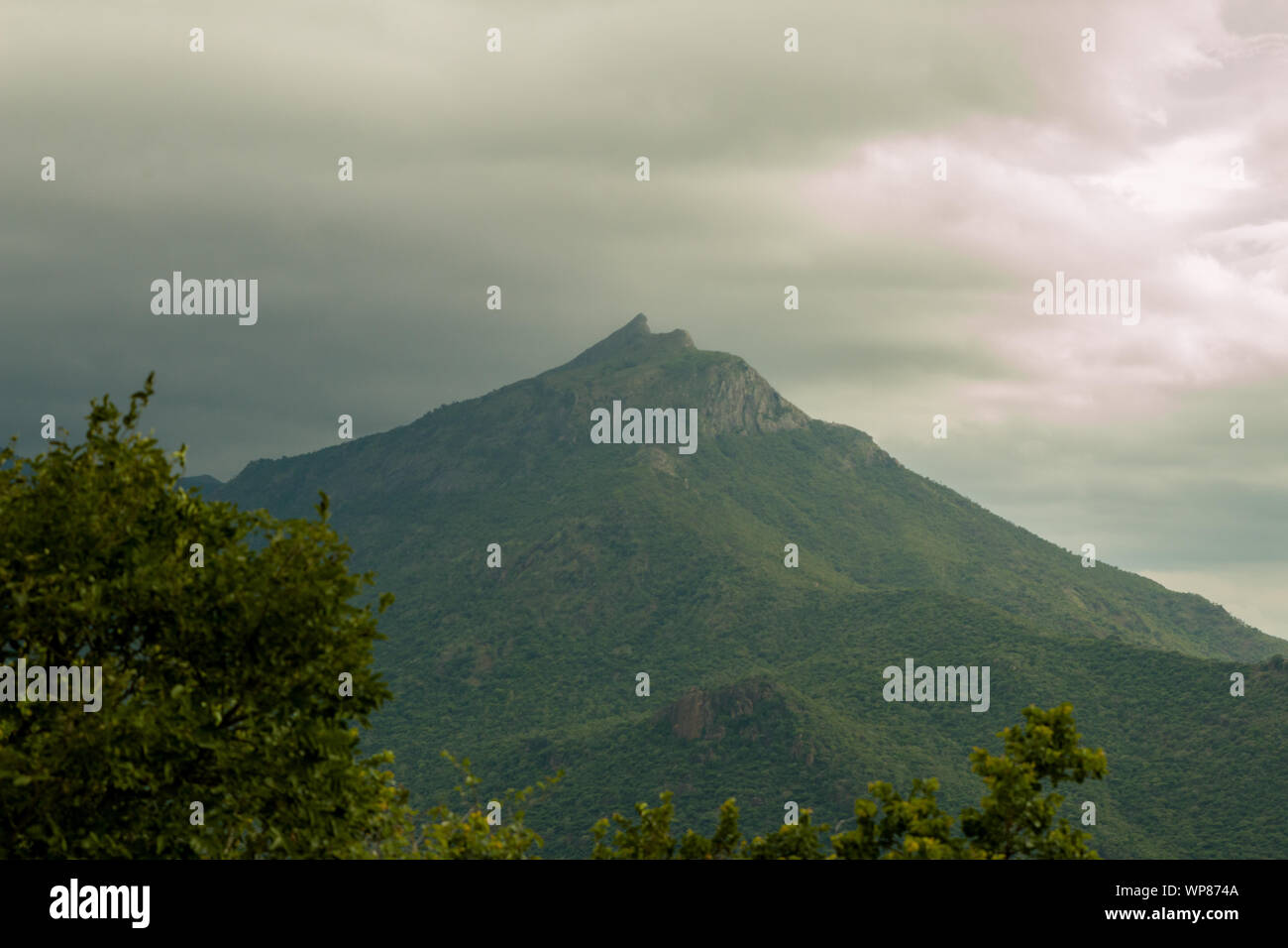 Montagne alte come le nuvole. La nebbia le gamme della montagna del Kerala e del Tamil Nadu Foto Stock