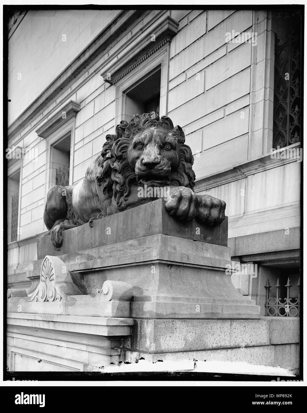 I Lions al Corcoran Art Gallery Foto Stock