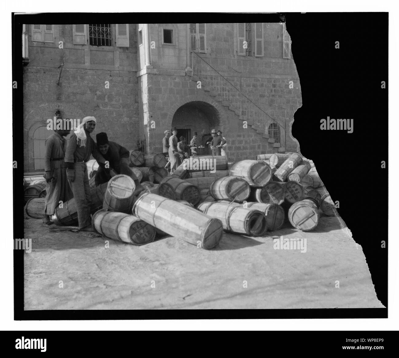 Locust peste Foto Stock