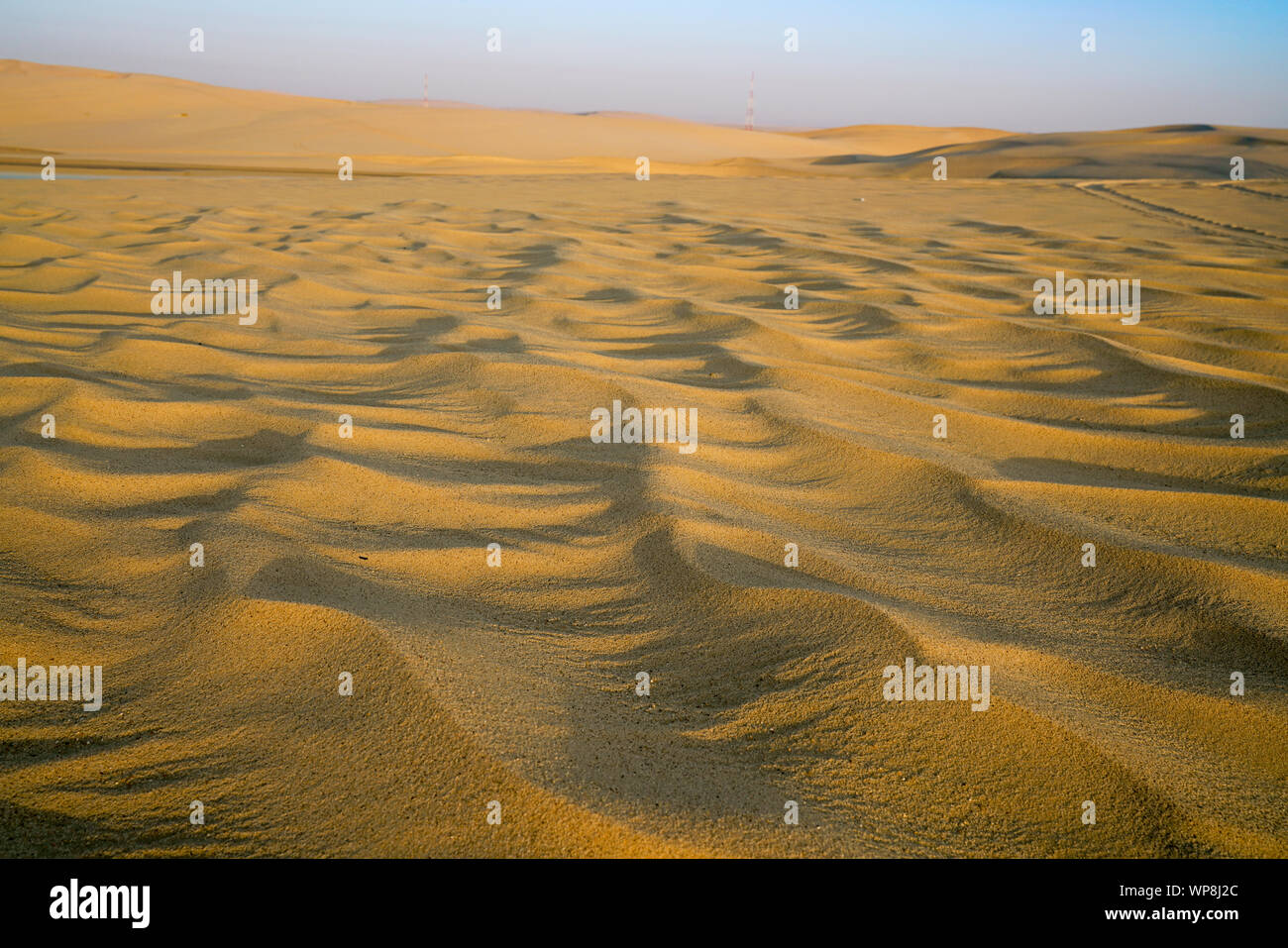 Deserto di sunrise luce e ombra dal basso angolo di sole sulla superficie ondulazioni del vento sulla sabbia per gli sfondi. Foto Stock