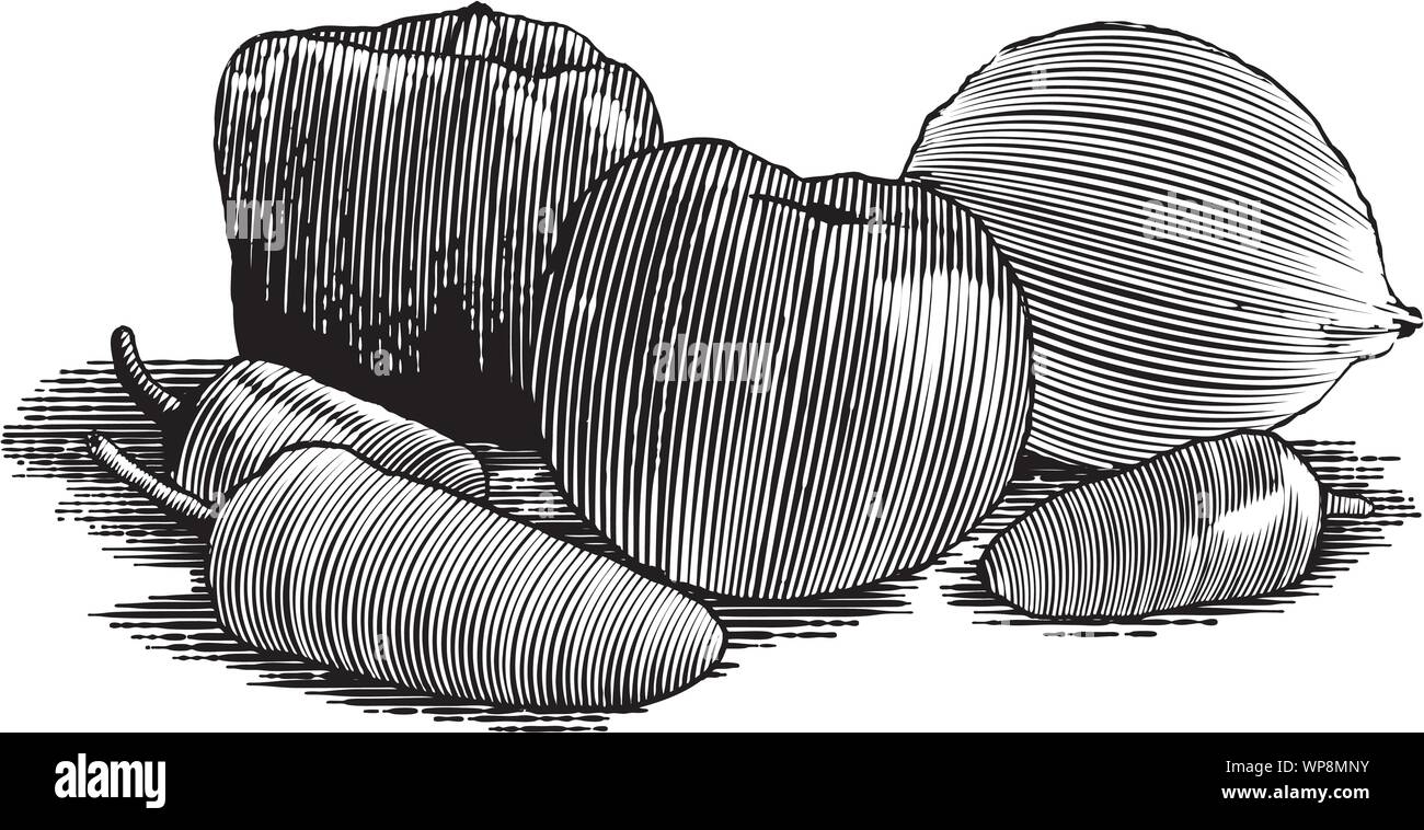 Xilografia-style illustrazione di un gruppo di verdure con un tamato, peperone, peperoni e cipolla. Illustrazione Vettoriale