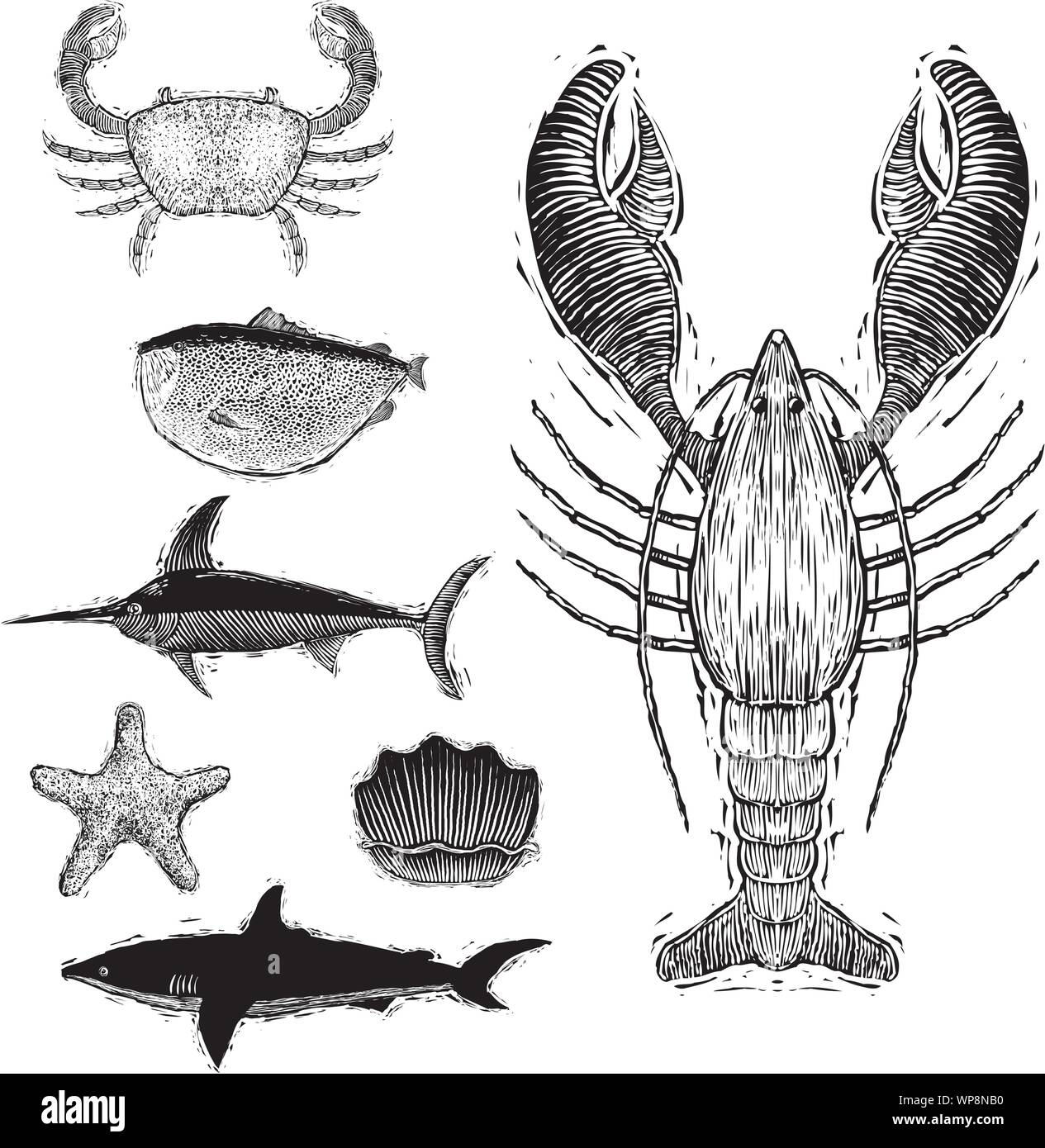 Xilografia-style illustrazioni di diverse creature del mare. Illustrazione Vettoriale
