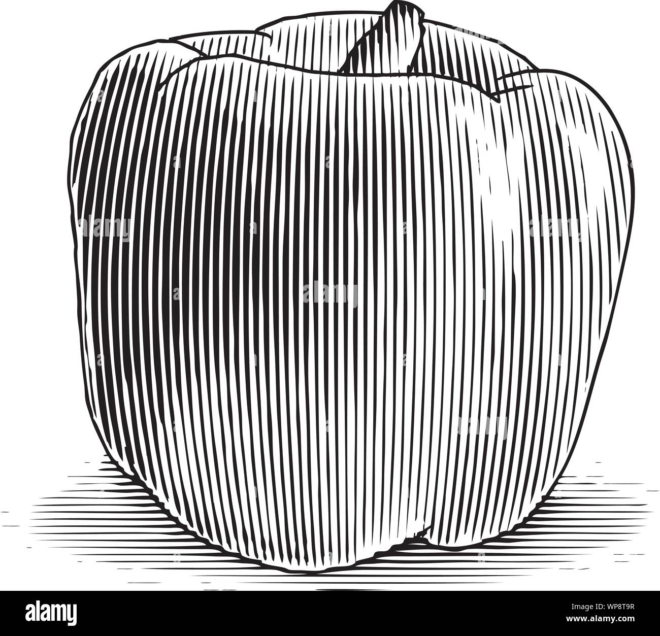 Xilografia illustrazione di un peperone. Illustrazione Vettoriale