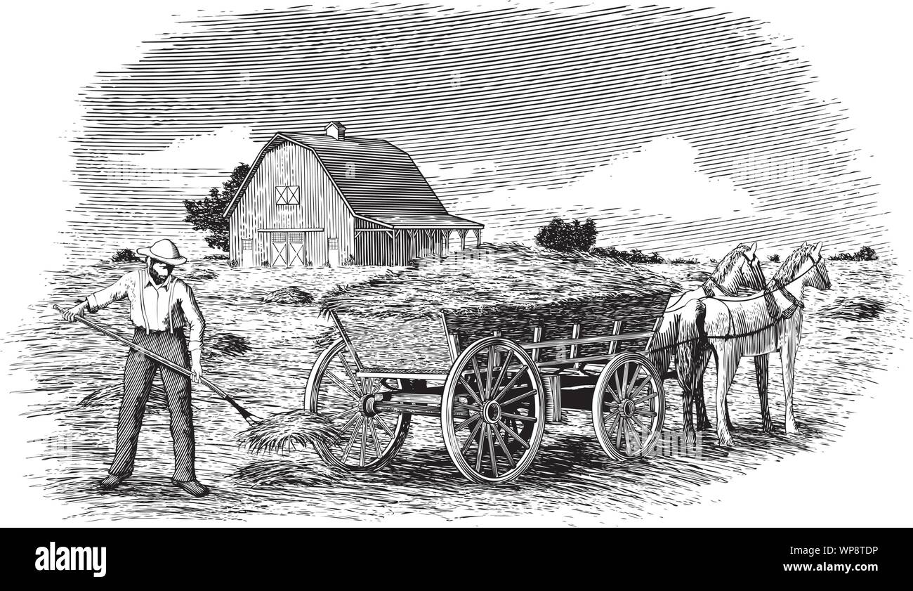 Xilografia-style illustrazione di un uomo di fieno di carico su un cavallo disegnato a scheda con un fienile in backgroiund. Illustrazione Vettoriale