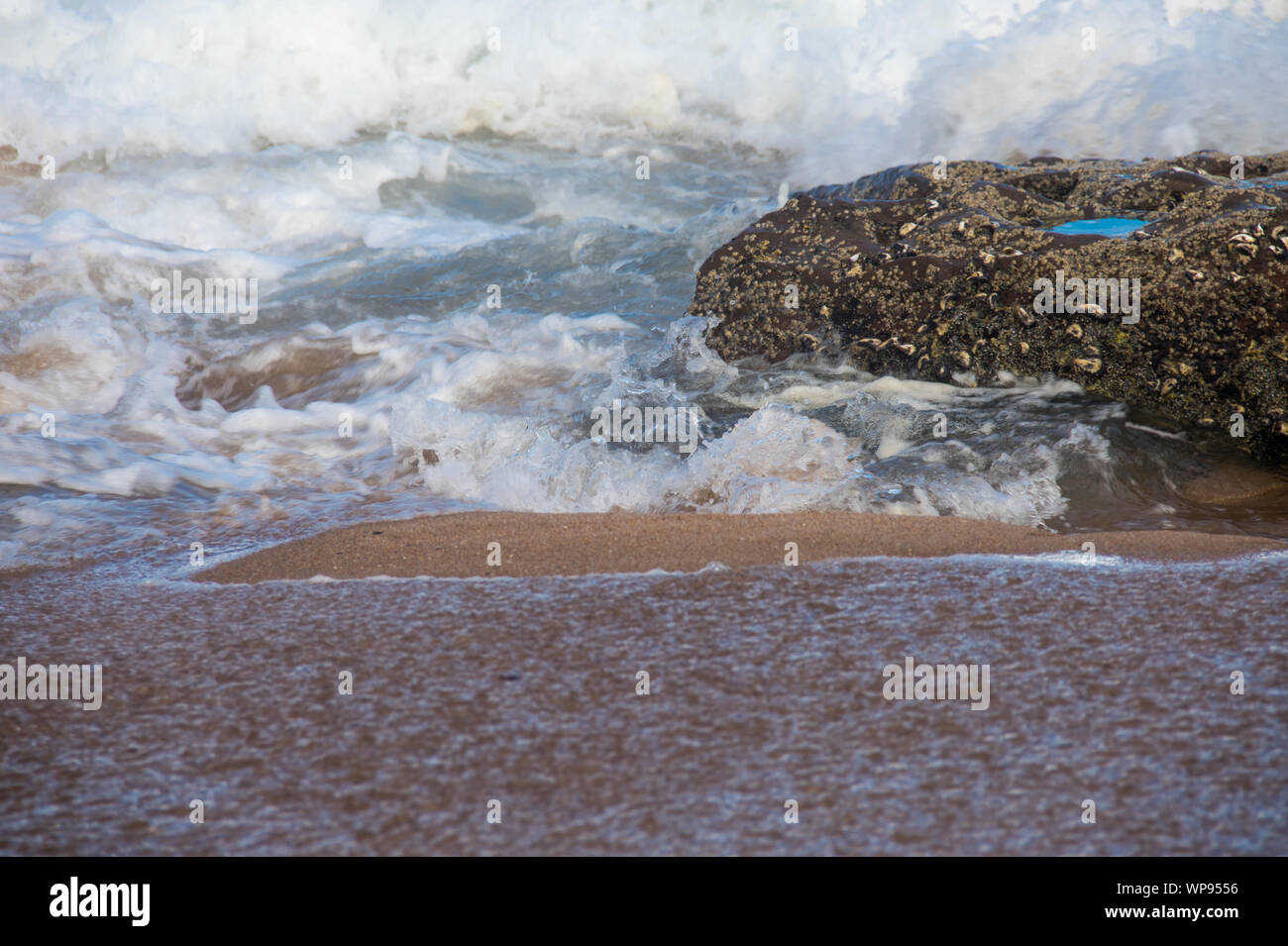 Pomeriggio Un forte marea marea con le onde che si infrangono sulle rocce sulle rocce con forti onde schiumose, una risacca, un lato wash. Reale onde arrabbiato. Foto Stock