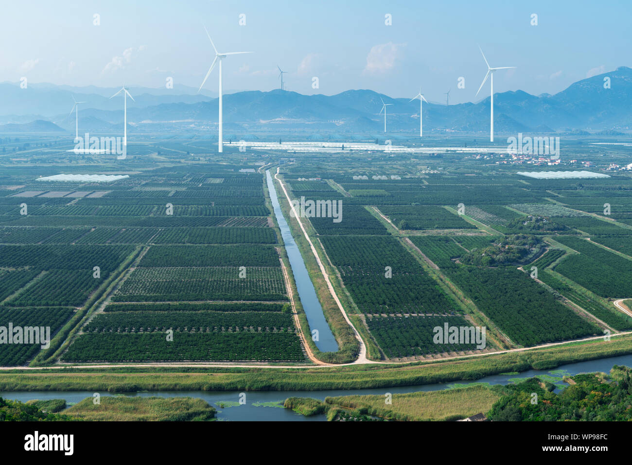 Produzione orticola, la trasformazione e il centro logistico di serre per la coltivazione di ortaggi e area esterna per la coltivazione di frutta Foto Stock