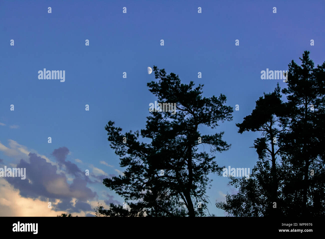 Cielo nuvoloso. Lusatia, Germania Foto Stock