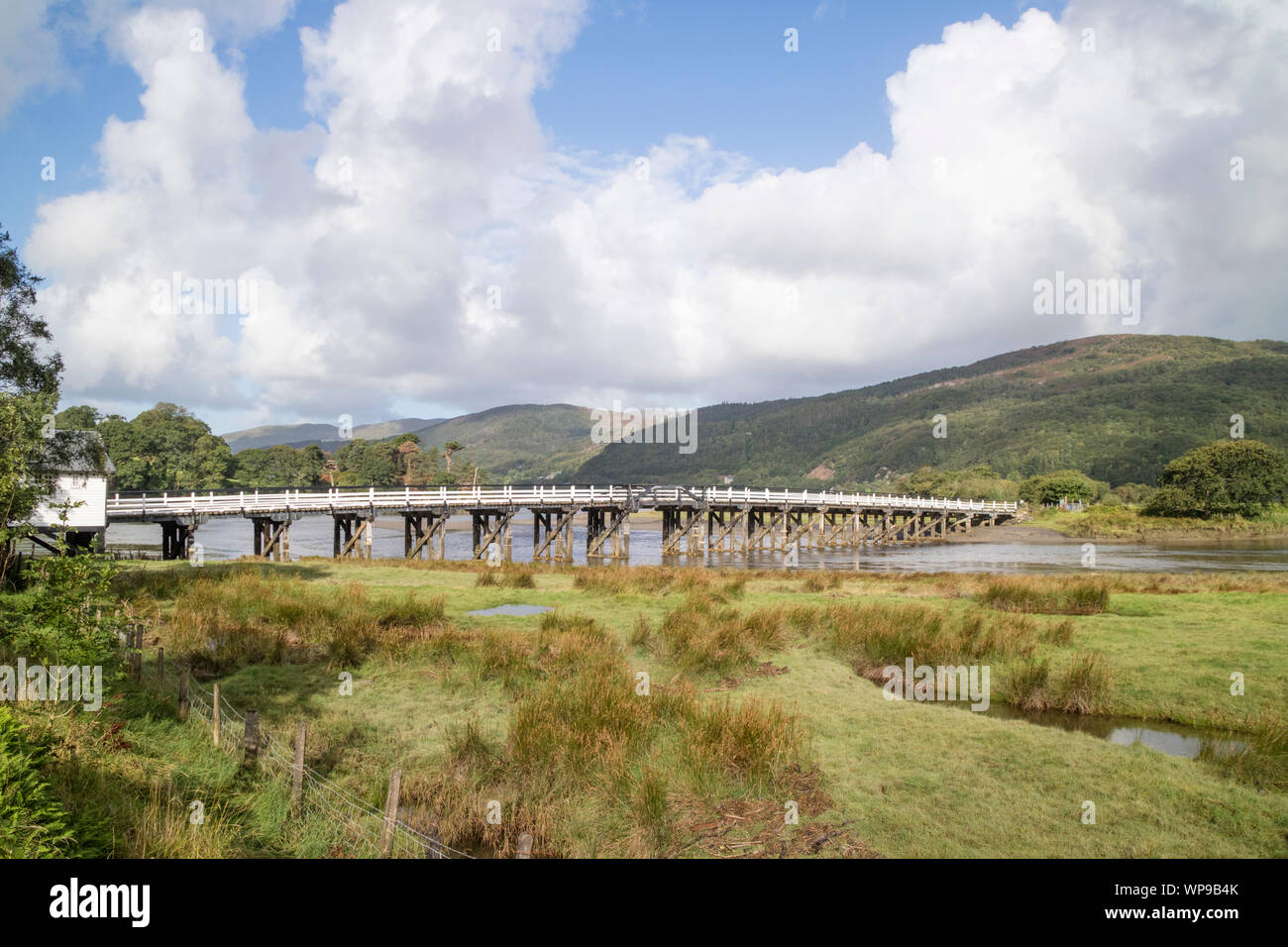 Il Mawddach Estuary in Penmaenpool e il ponte a pedaggio, Snowdonia National Park, North Wales, Regno Unito Foto Stock