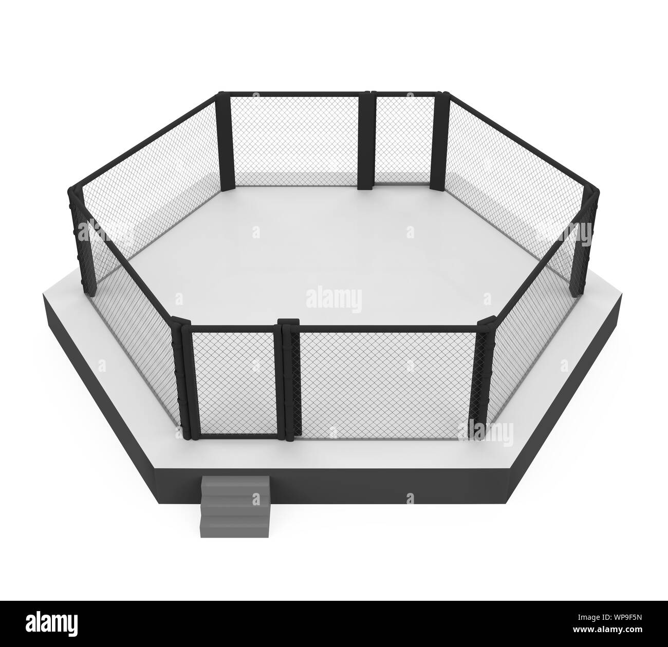 Lotta MMA cage Arena isolato Foto Stock