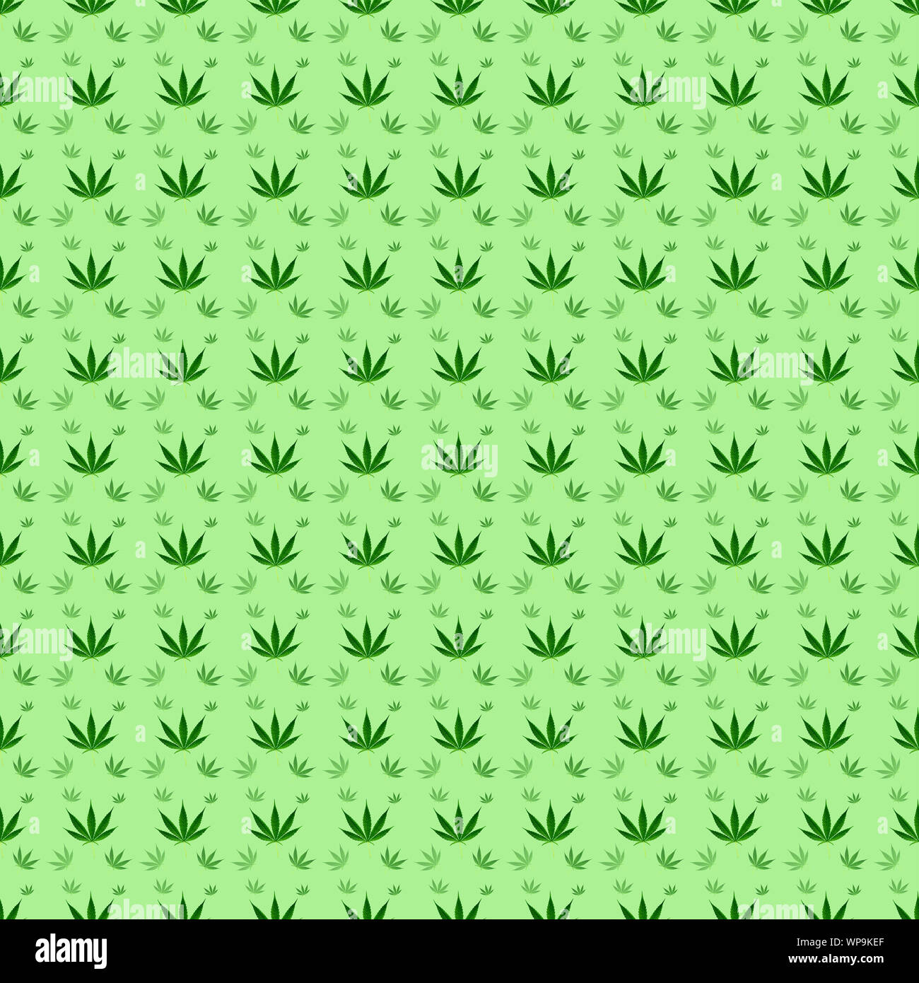 Marijuana o di foglie di cannabis perfetta configurazione di sfondo Foto Stock